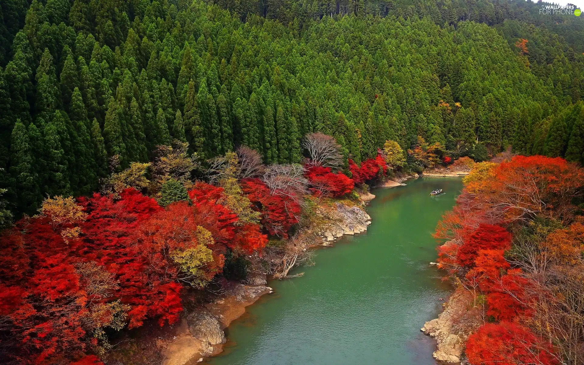 color, River, viewes, Boat, trees, woods