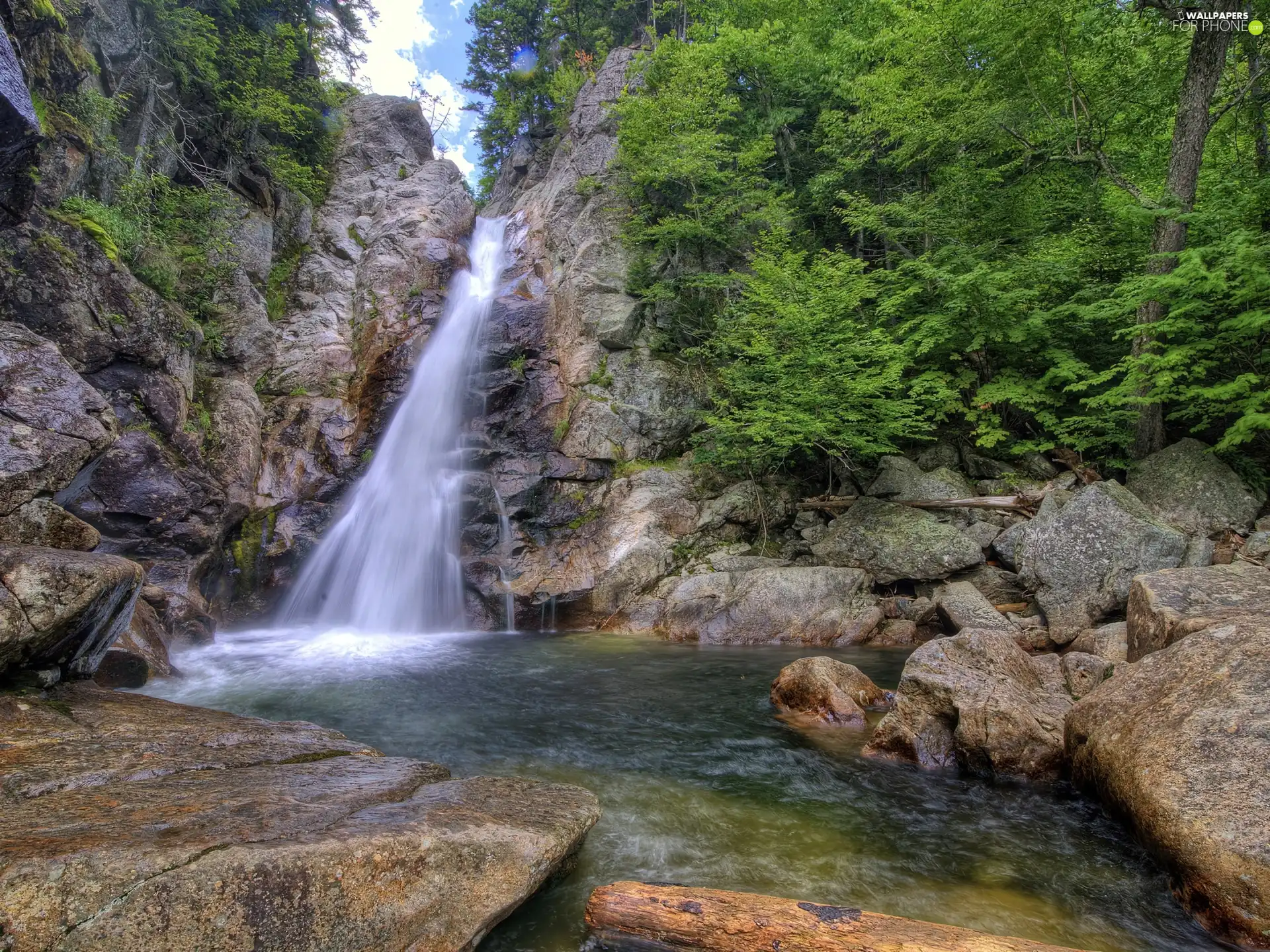 viewes, Bush, Stones, trees, waterfall