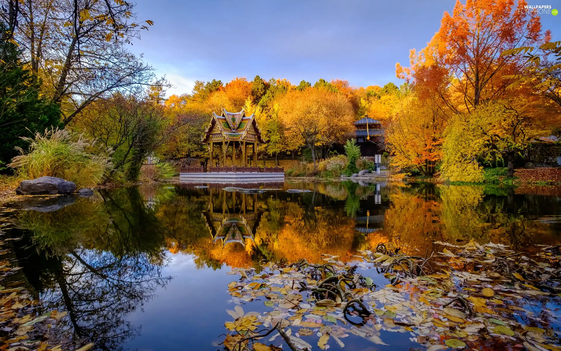 arbour, Pond - car, viewes, autumn, trees, pavilion