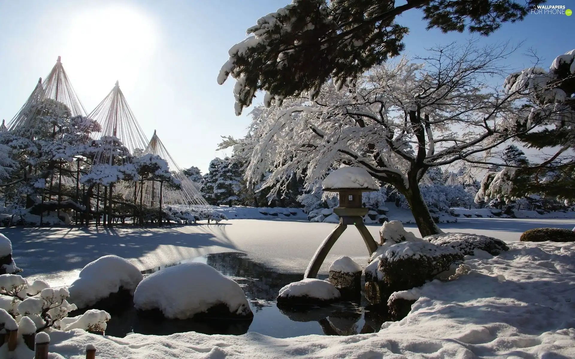 viewes, Pond - car, Snowy, trees, winter