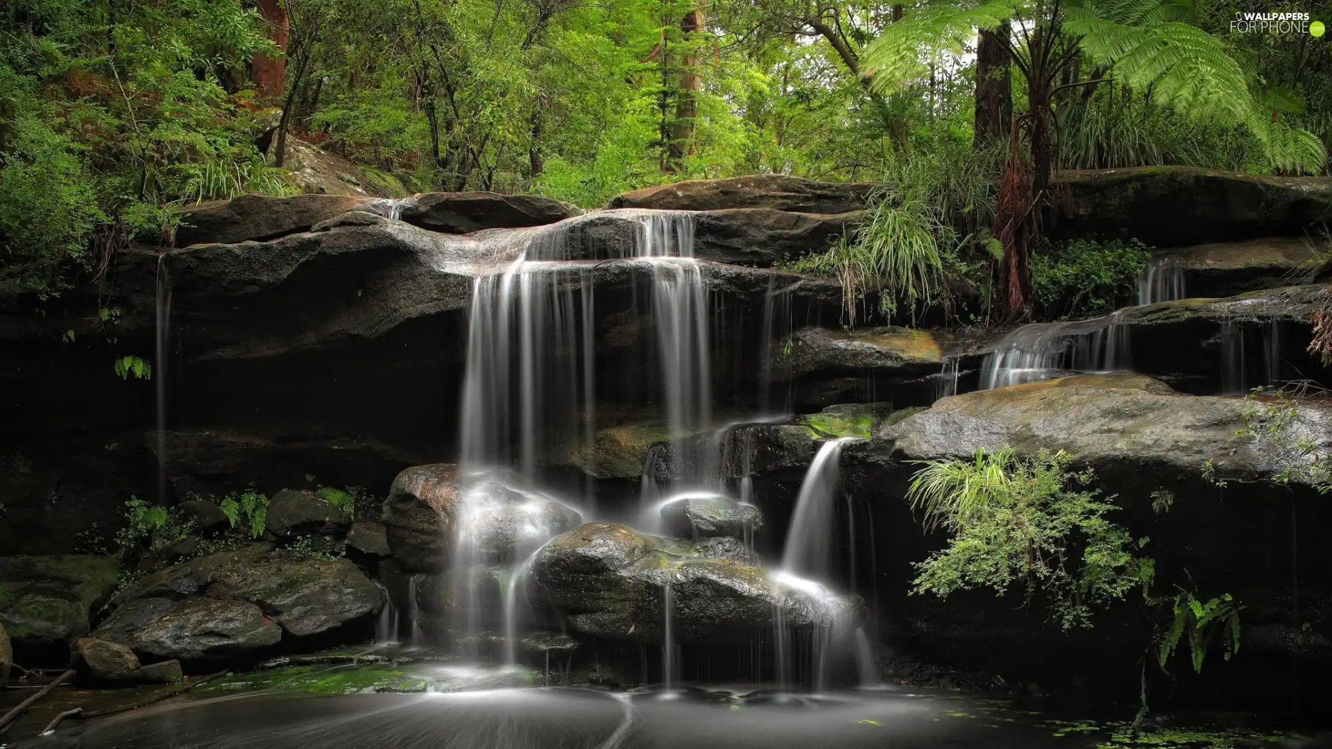 trees, viewes, cascade, rocks, waterfall