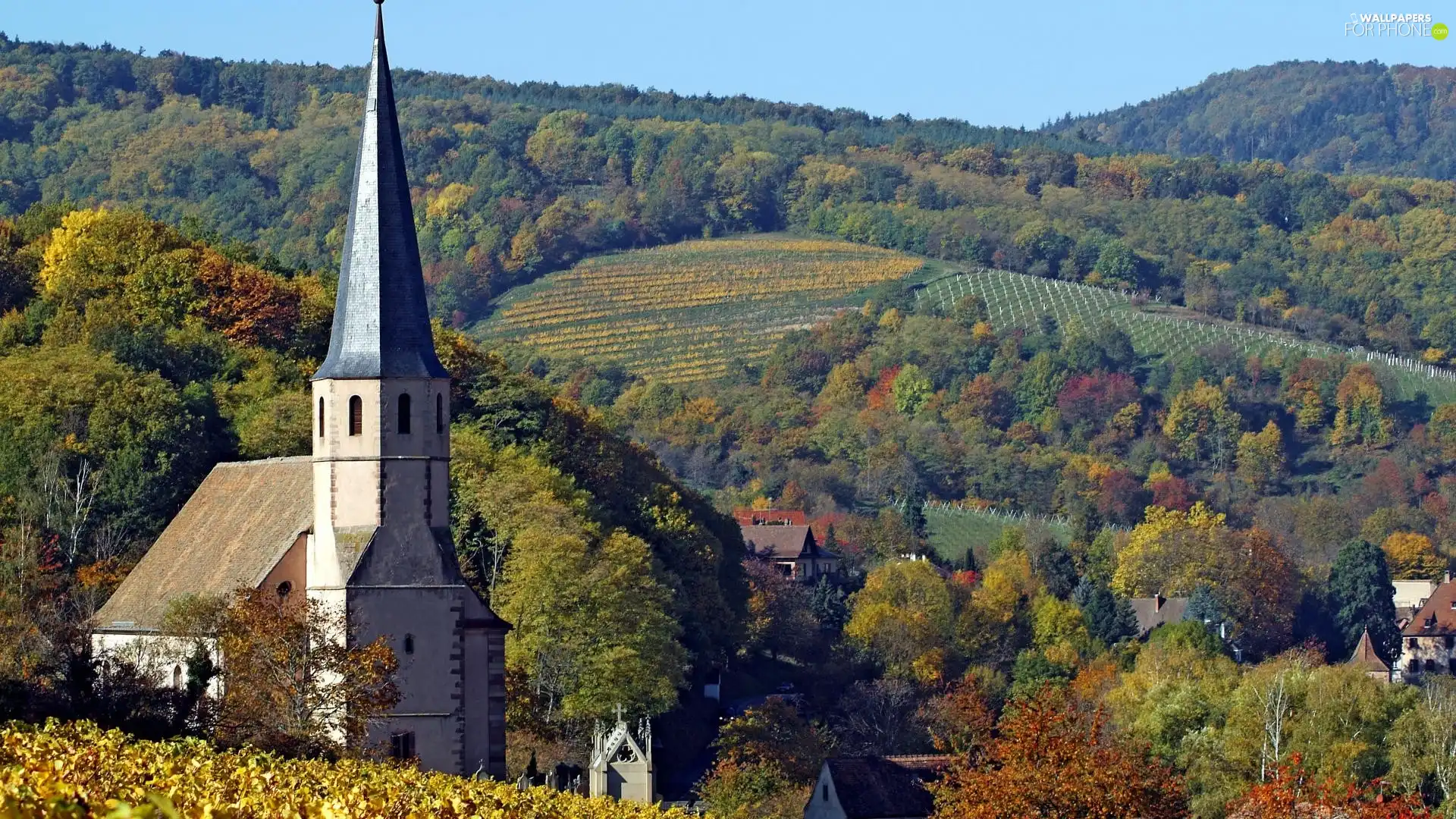 Church, trees, viewes, field