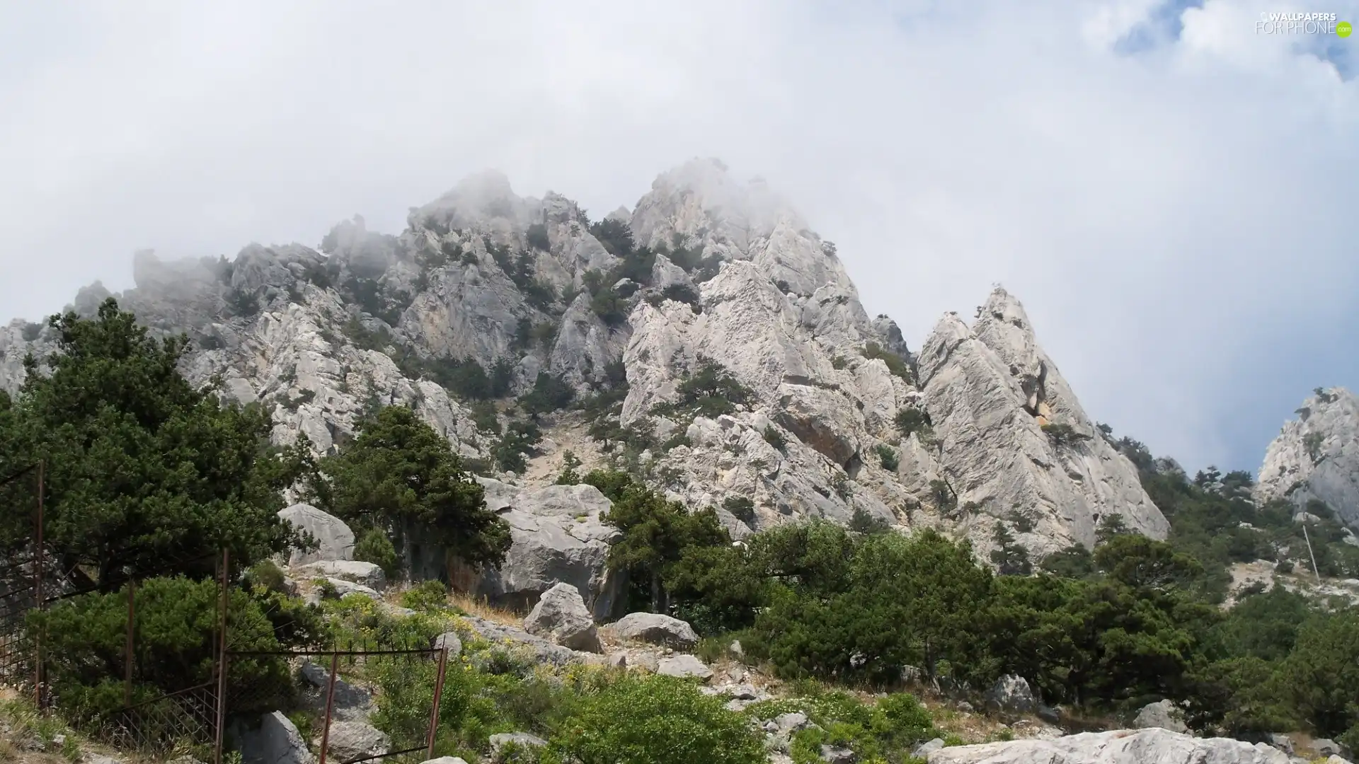 viewes, clouds, rocks, trees, Mountains