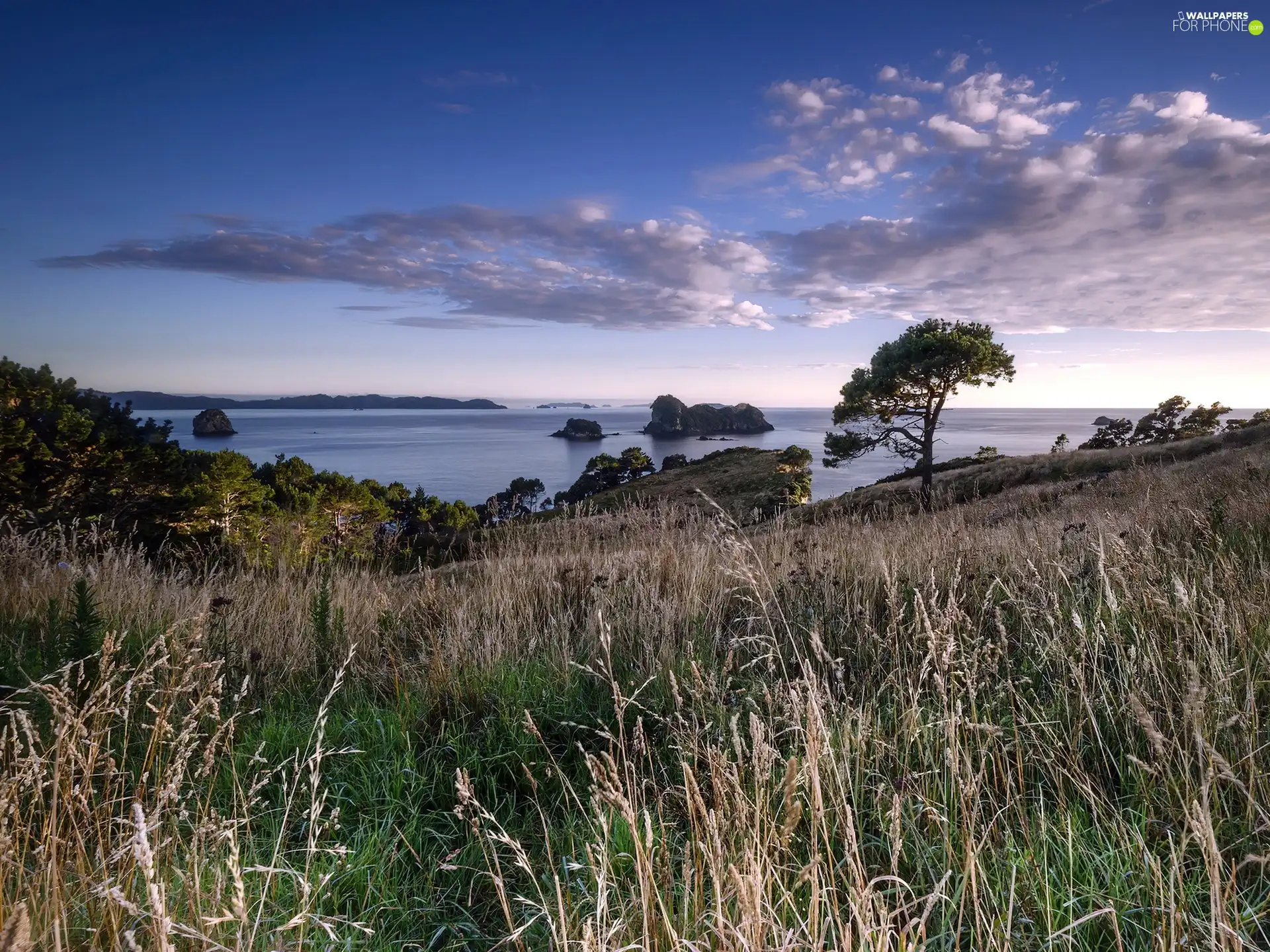Islands, Coast, viewes, clouds, trees, grass