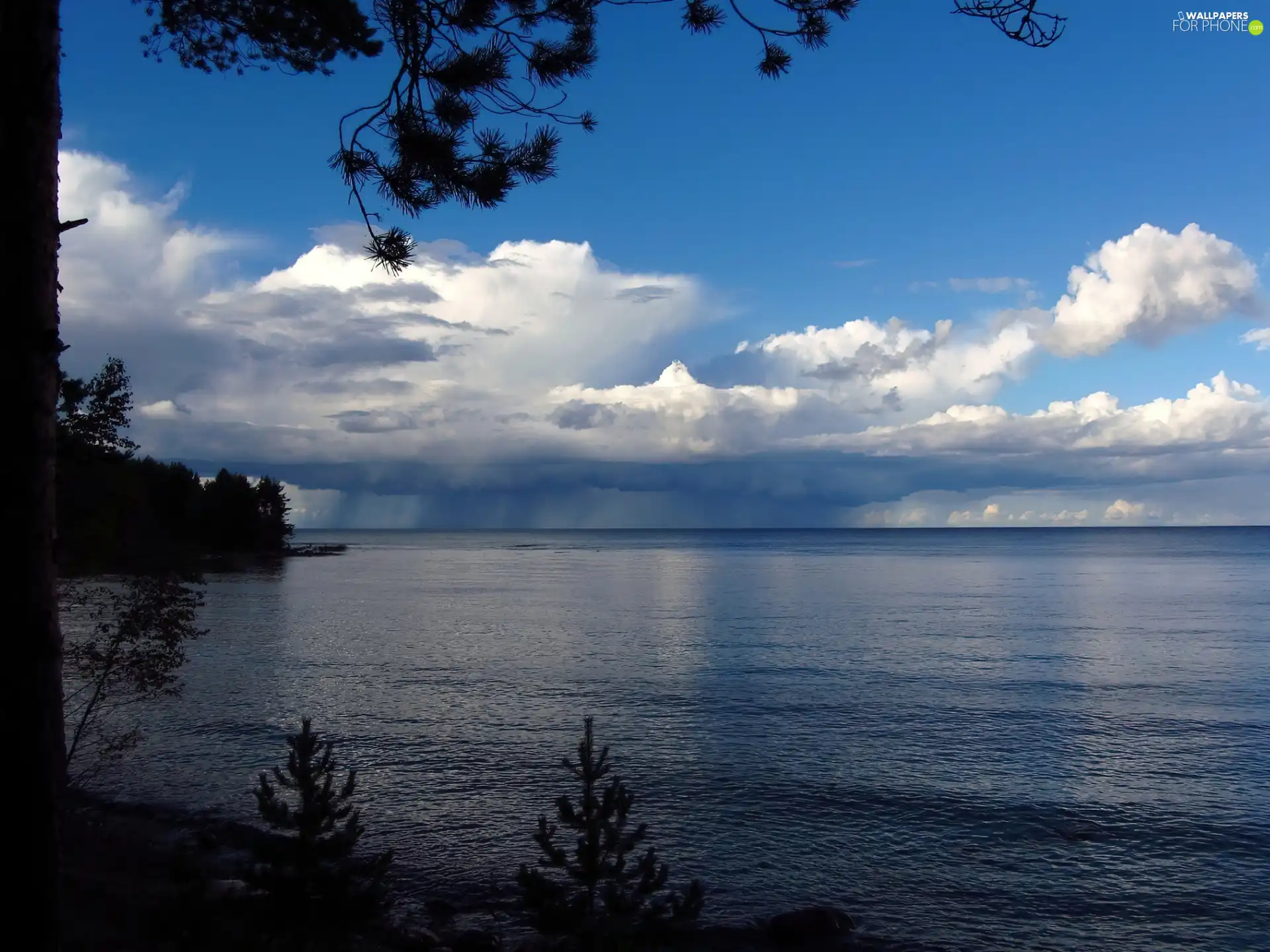 clouds, trees, viewes, lake