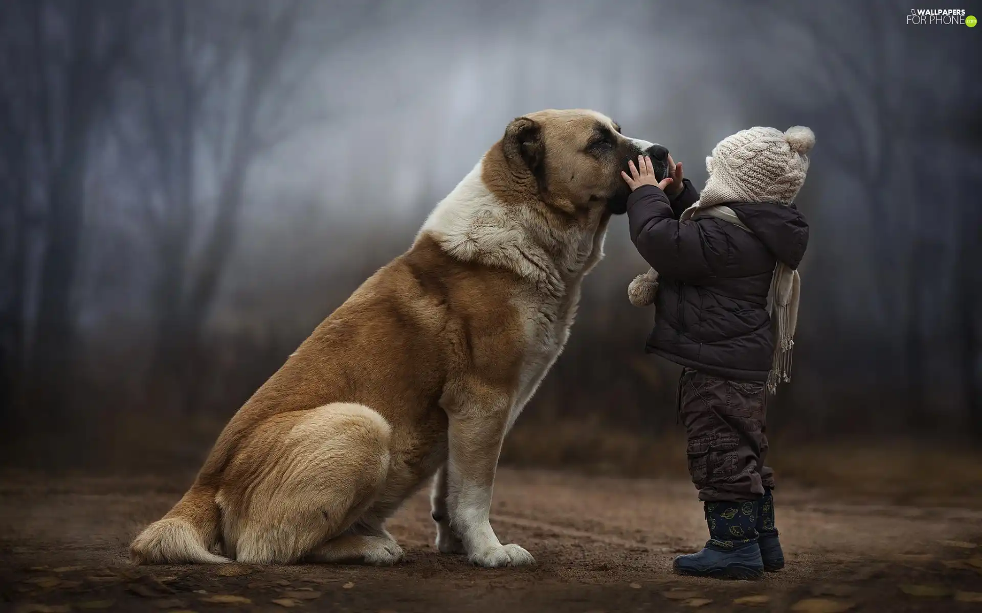 Trees Bullmastiff, dog, Kid