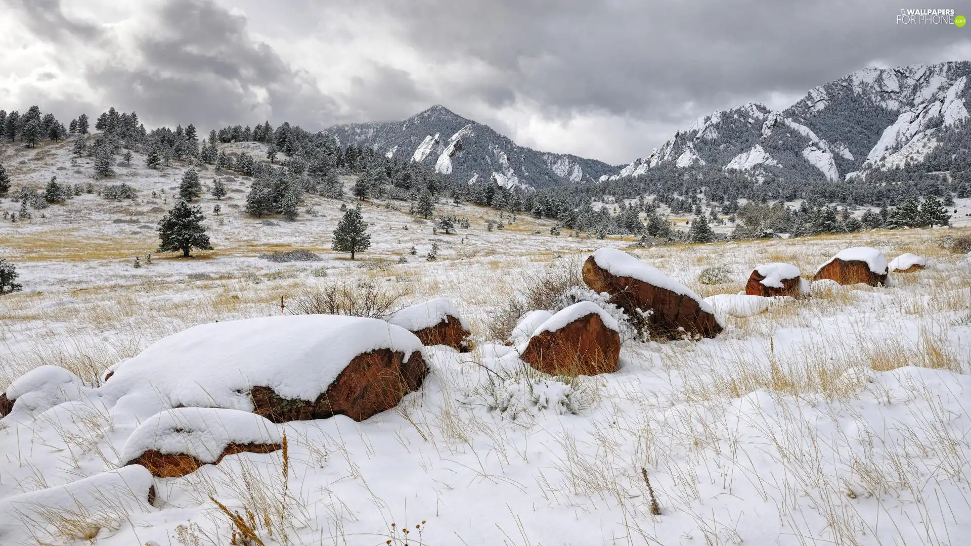 snow, Mountains, viewes, drifts, trees, height