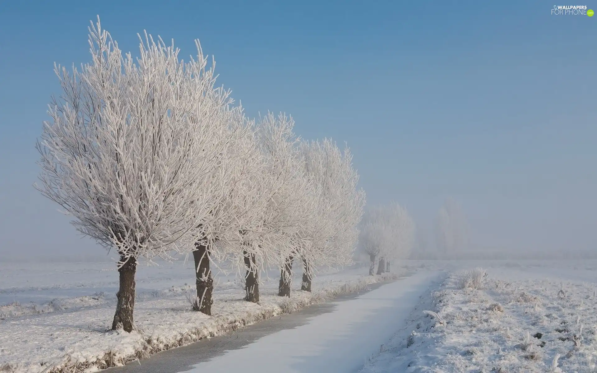 frosty, Frozen, viewes, Field, trees, River