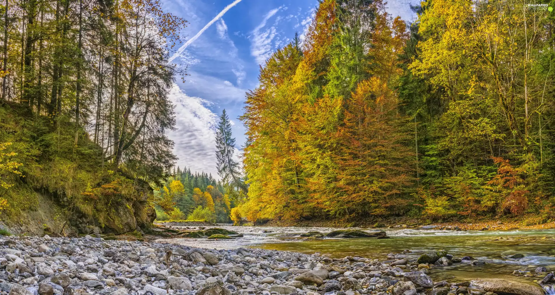 trees, viewes, forest, Stones, River