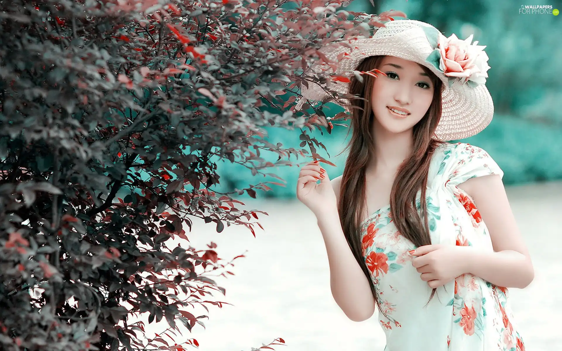 girl, trees, viewes, Hat