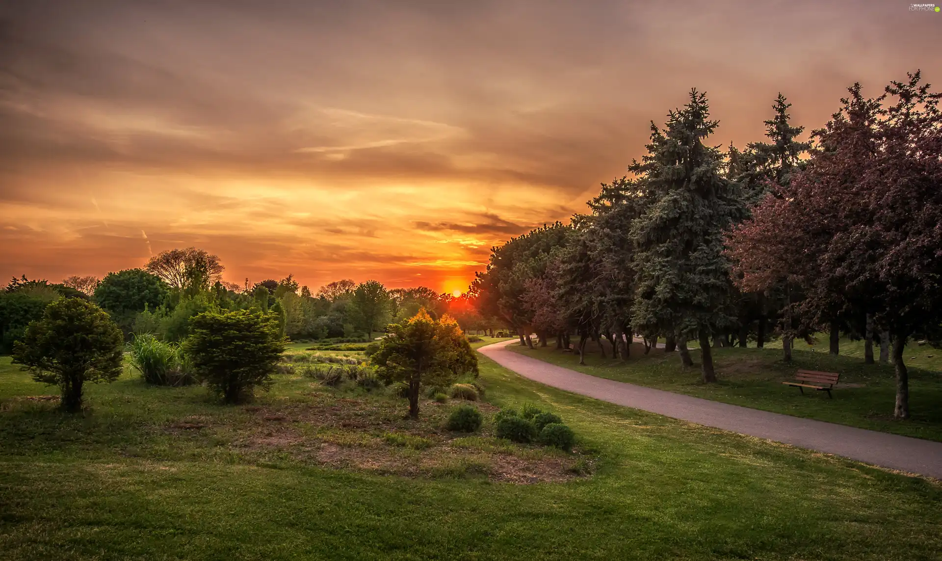 Way, trees, viewes, Great Sunsets