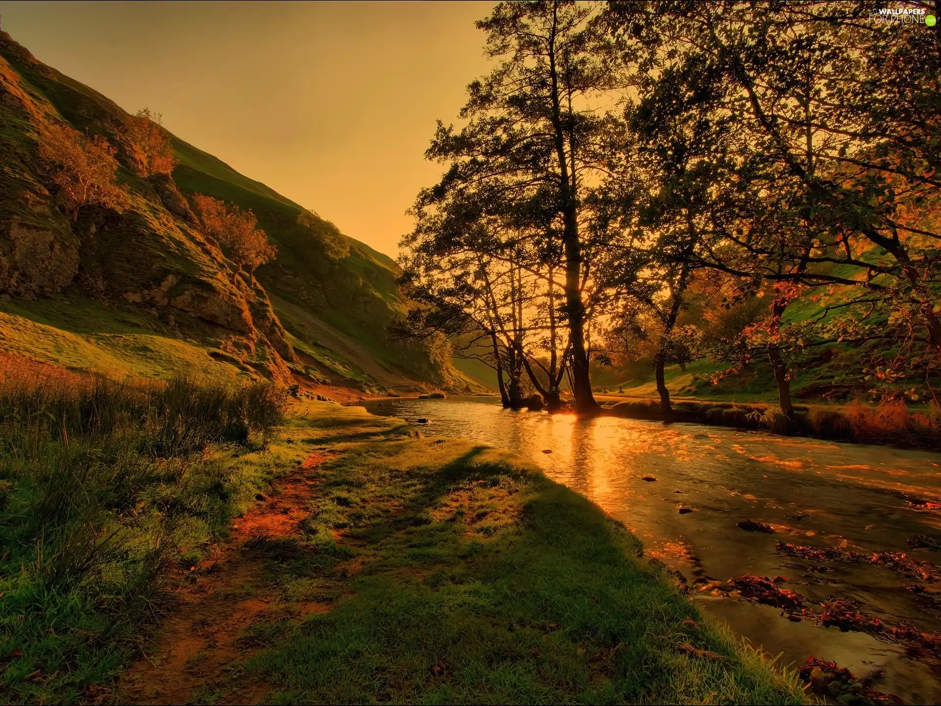 viewes, green, Mountains, trees, River