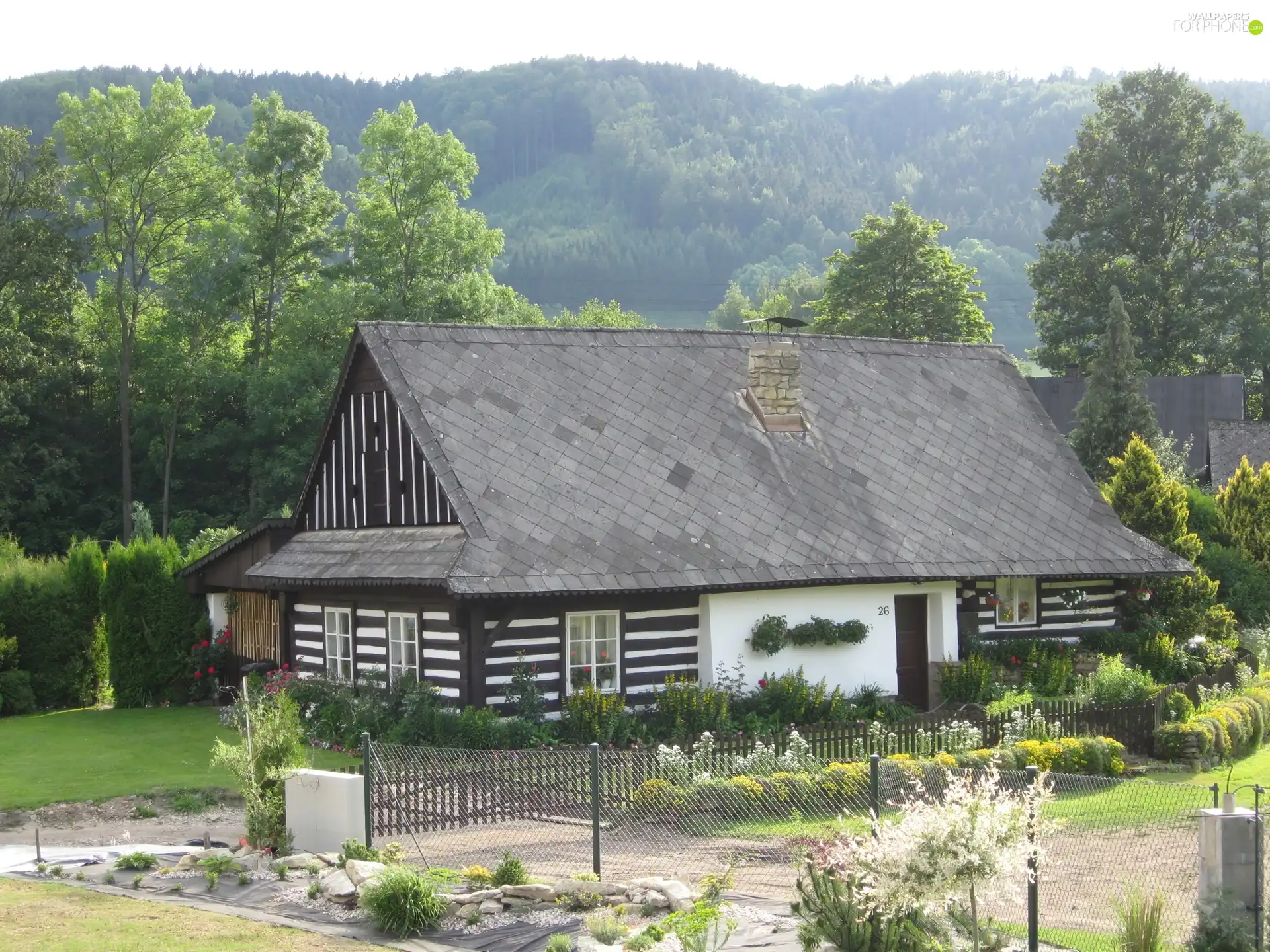 Home, trees, viewes, garden