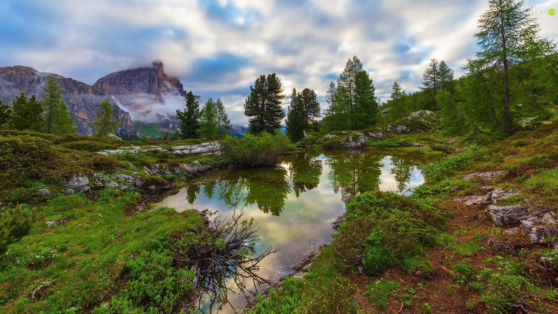 Dolomites, rocks, Italy, trees, Plants, Mountains, puddle, viewes
