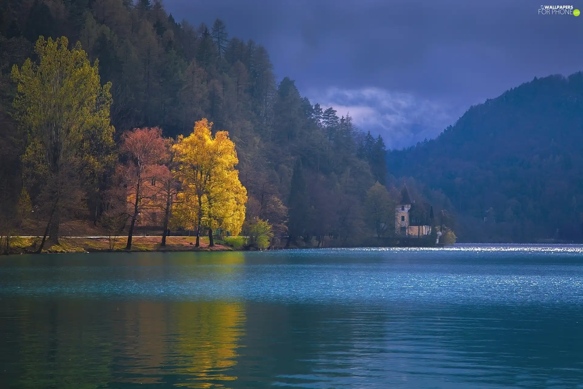 lake, trees, viewes, Autumn