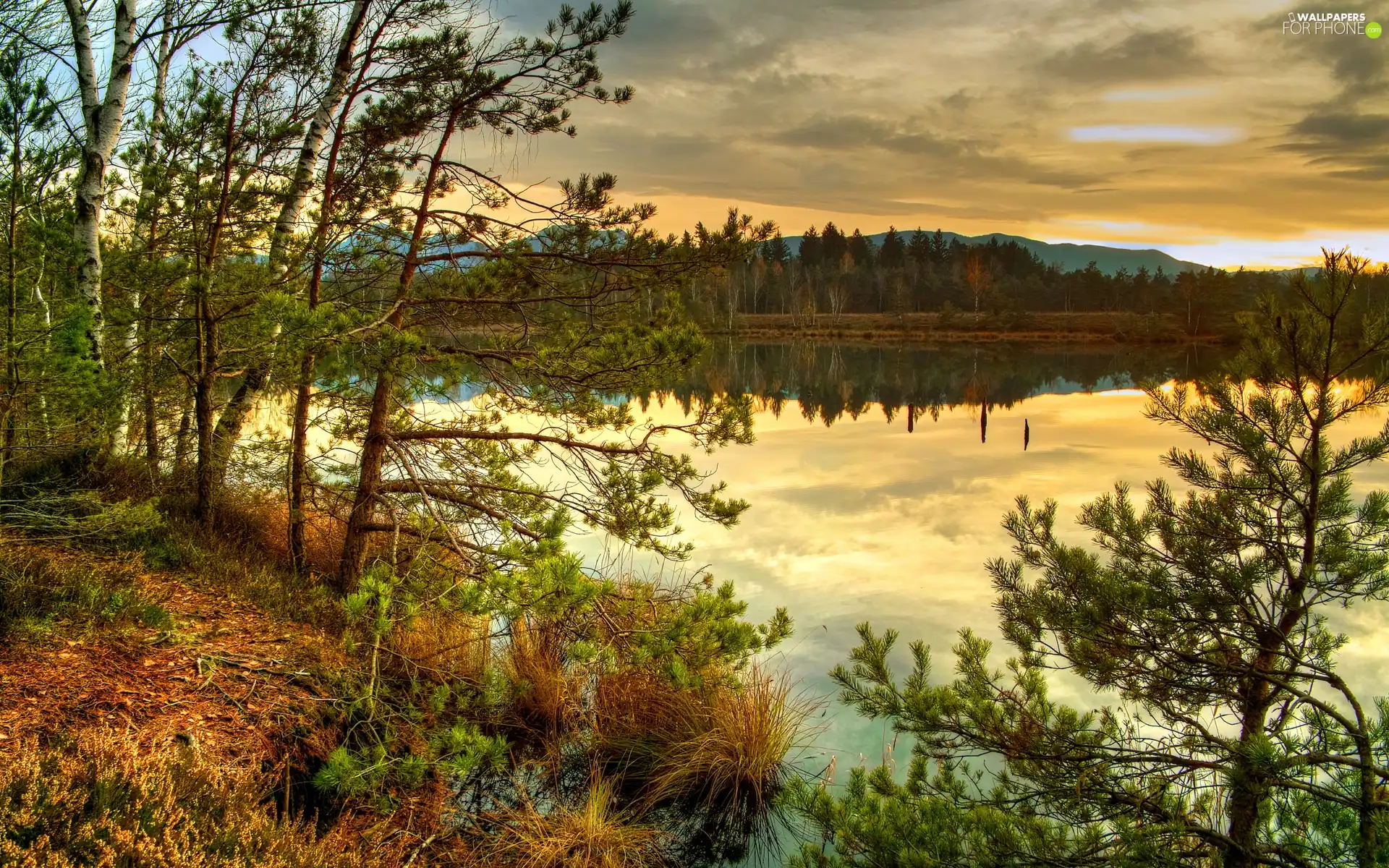 lake, trees, viewes, clouds