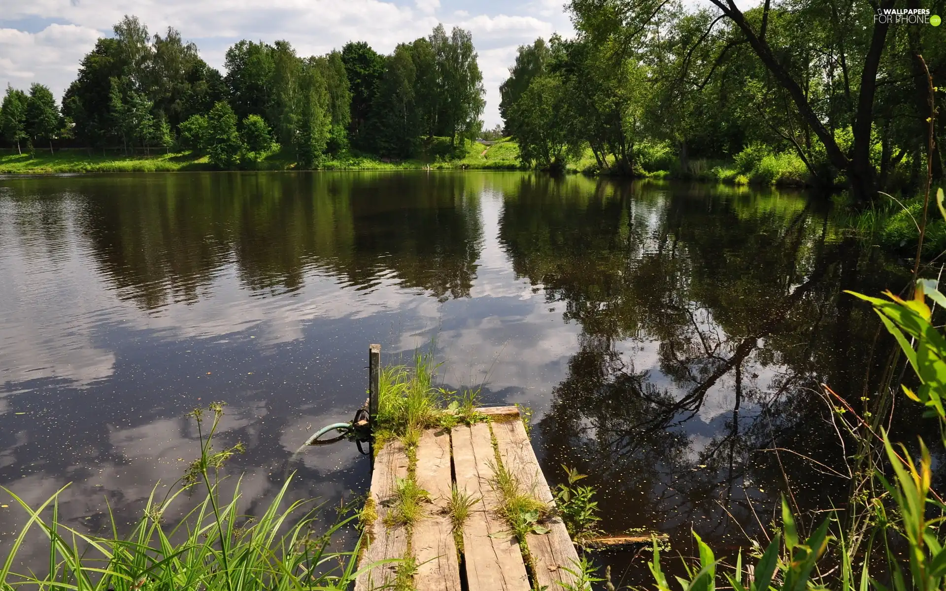 lake, trees, viewes, footbridge