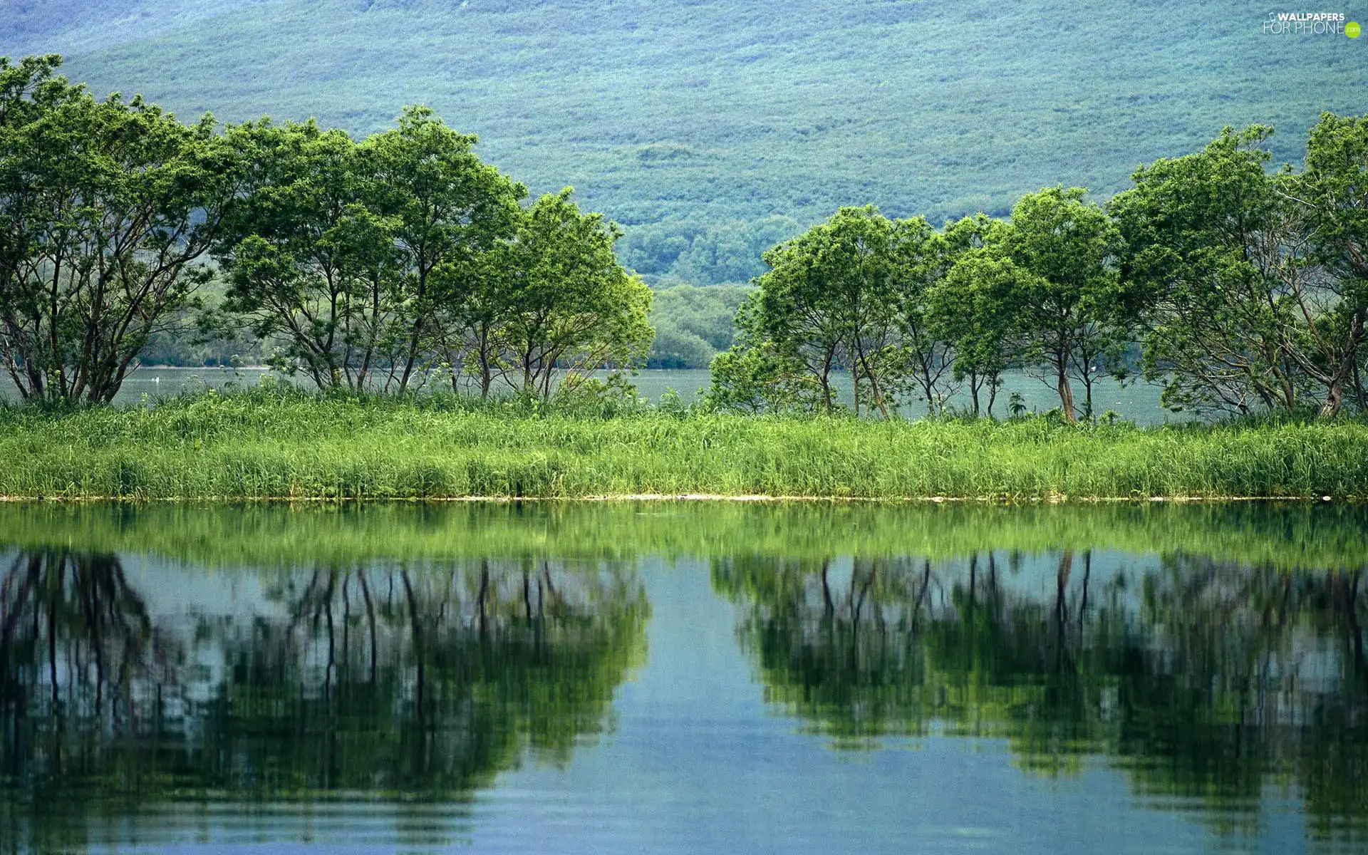 lake, trees, viewes, grass