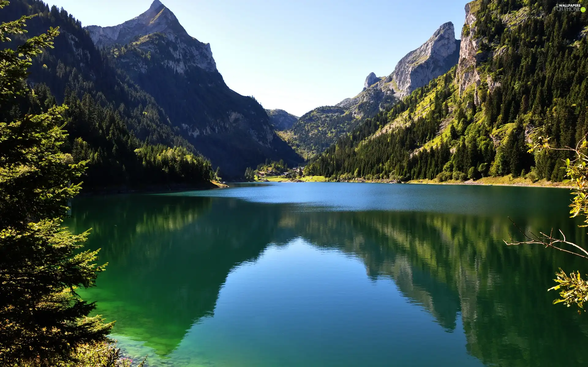 lake, trees, viewes, Mountains