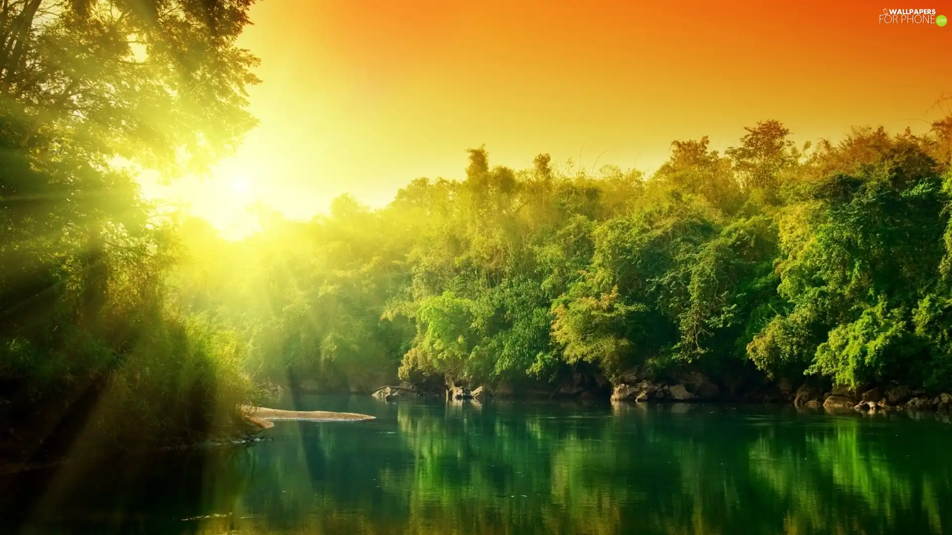 lake, trees, viewes, sun
