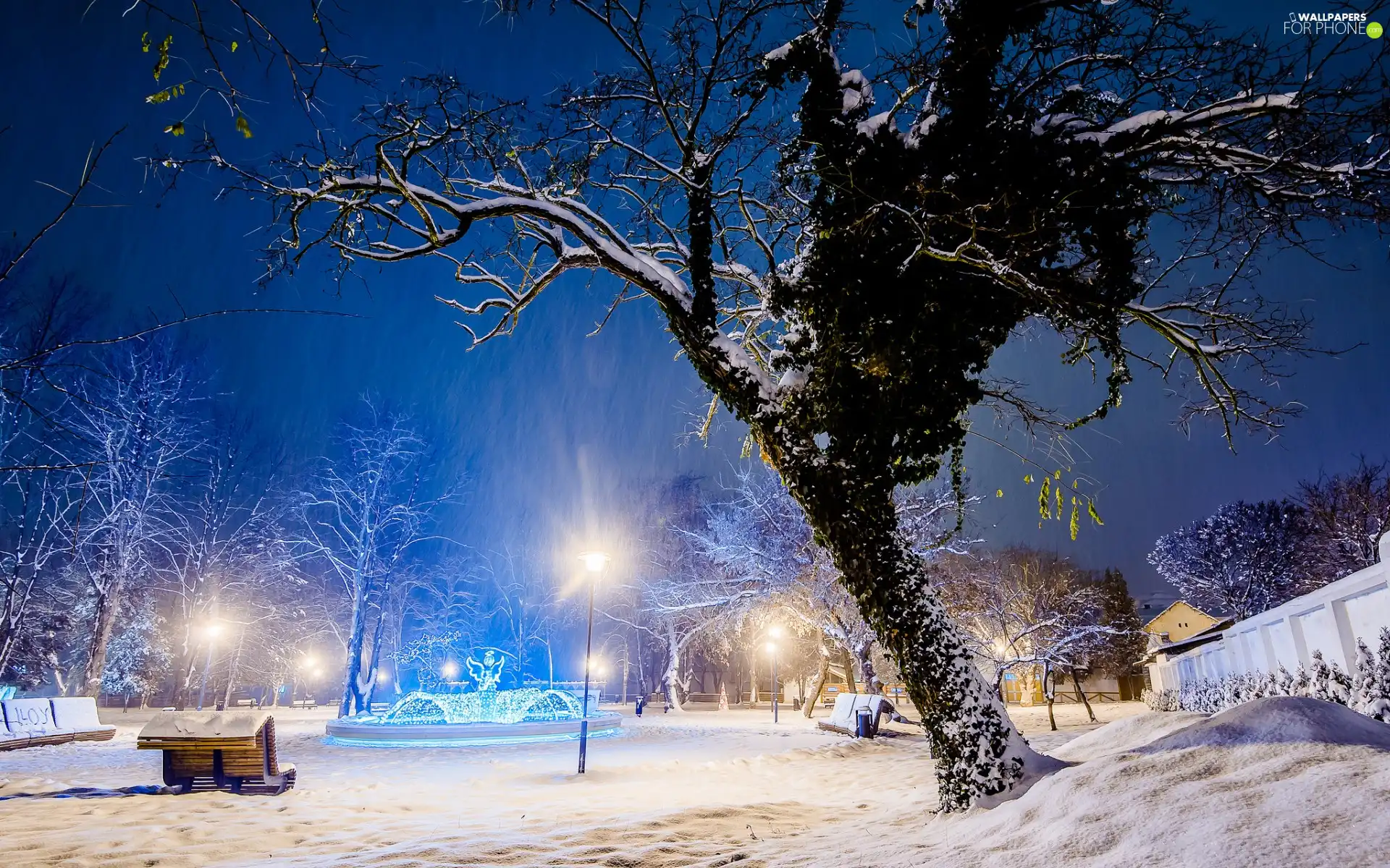 fountain, Park, viewes, lanterns, trees, winter