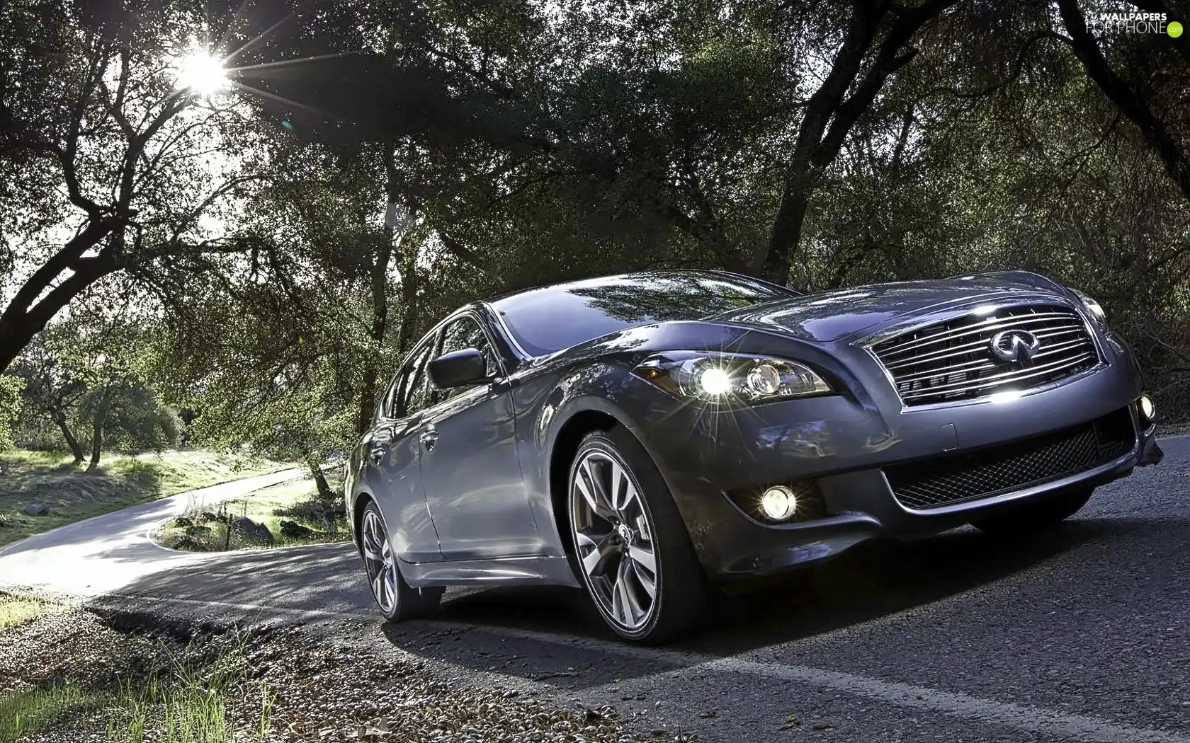 Infiniti M37, trees, viewes, Way