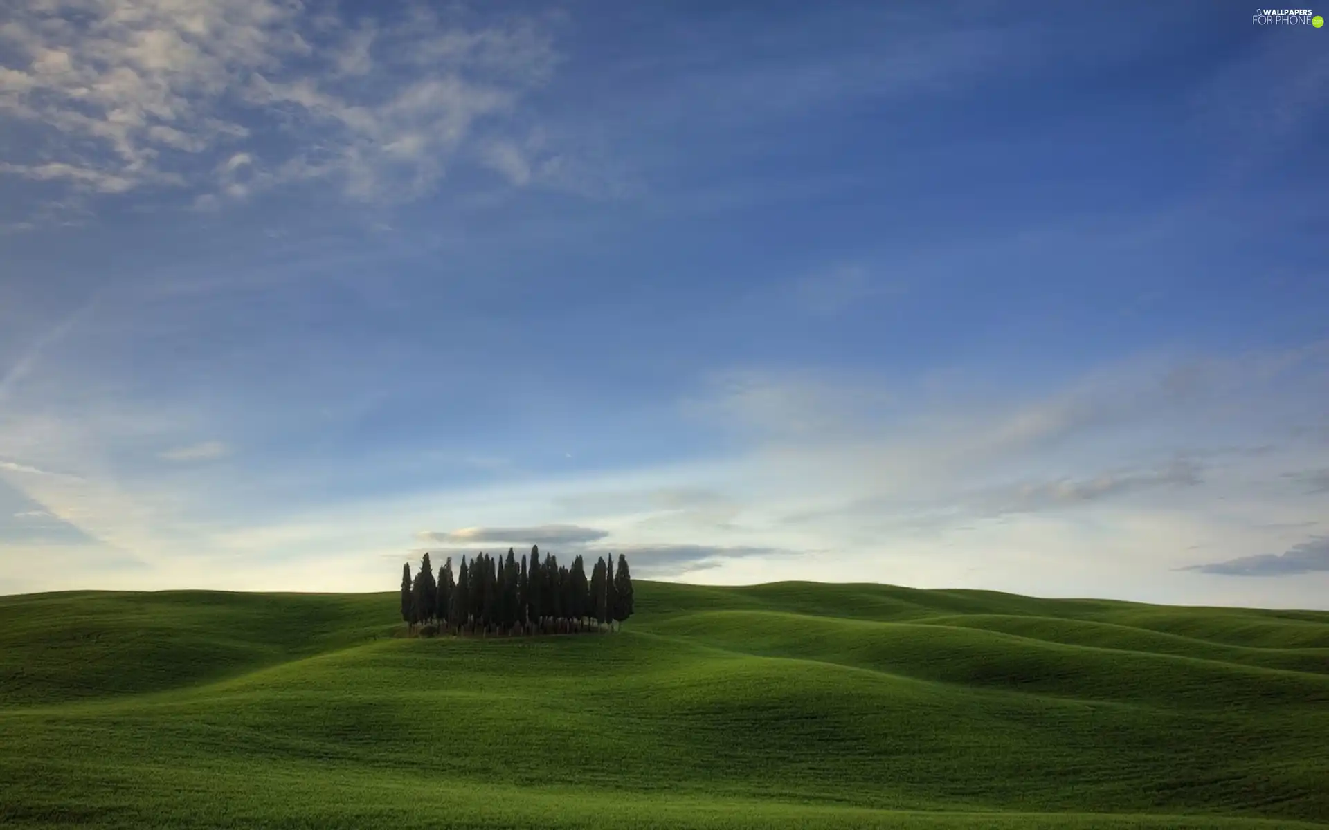 viewes, Meadow, Sky, trees, grass