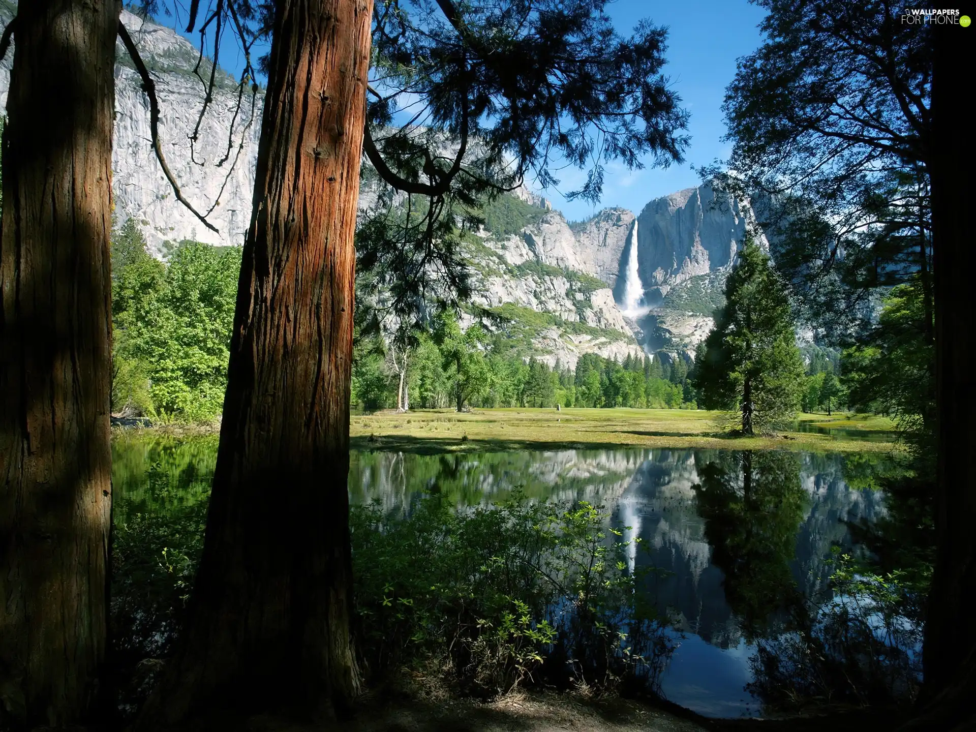 viewes, Mountains, reflection, trees, lake