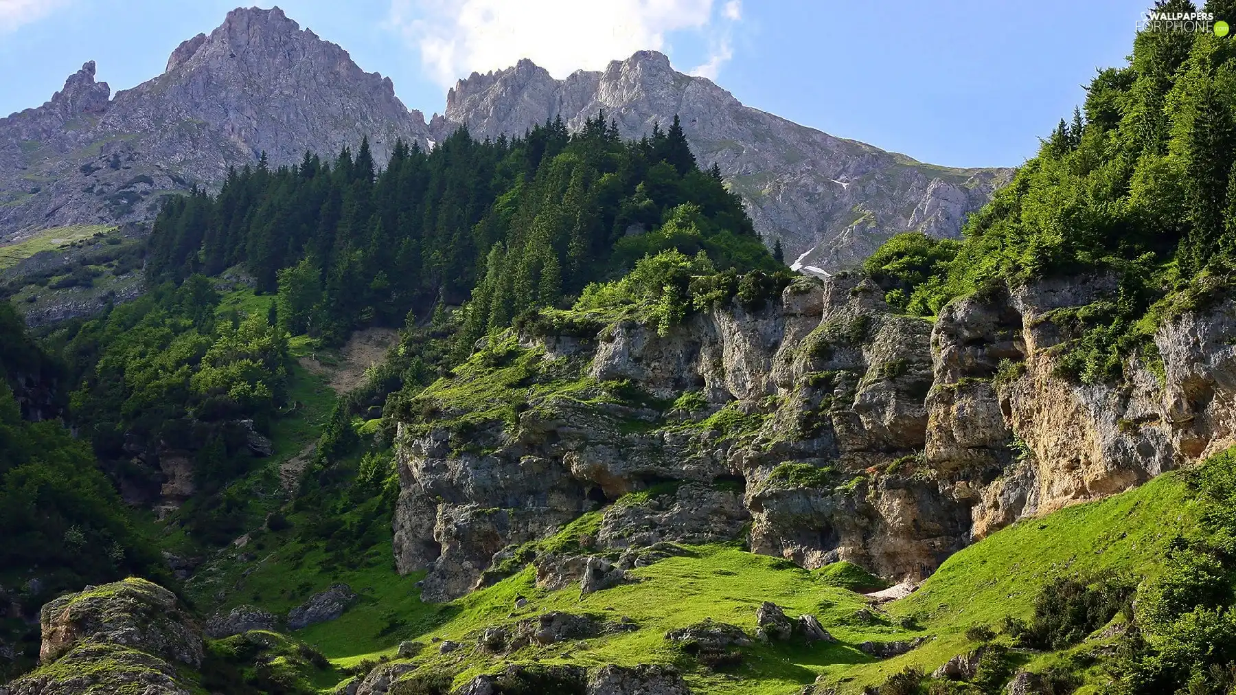 viewes, Mountains, Stones, trees, rocks