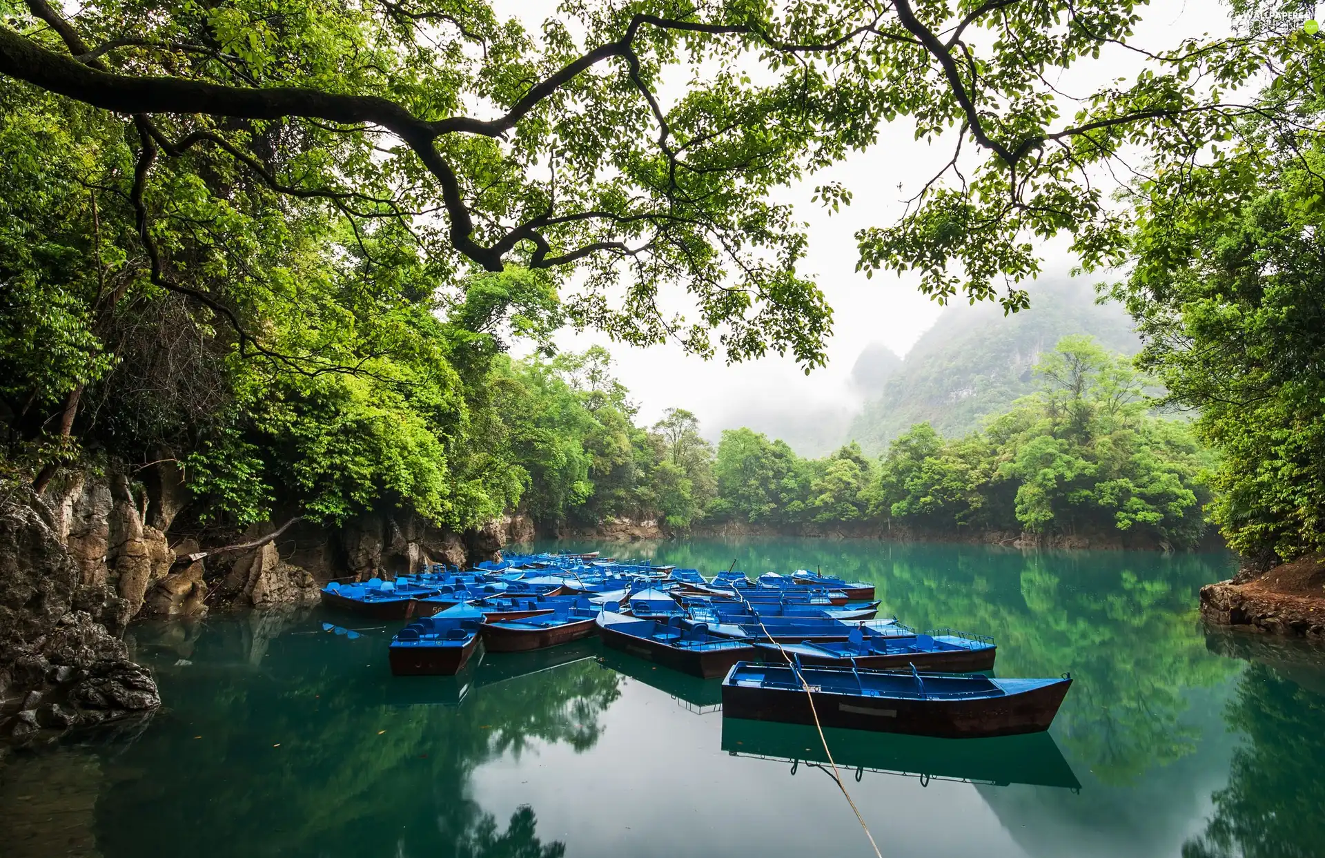 forest, boats, viewes, Mountains, trees, River