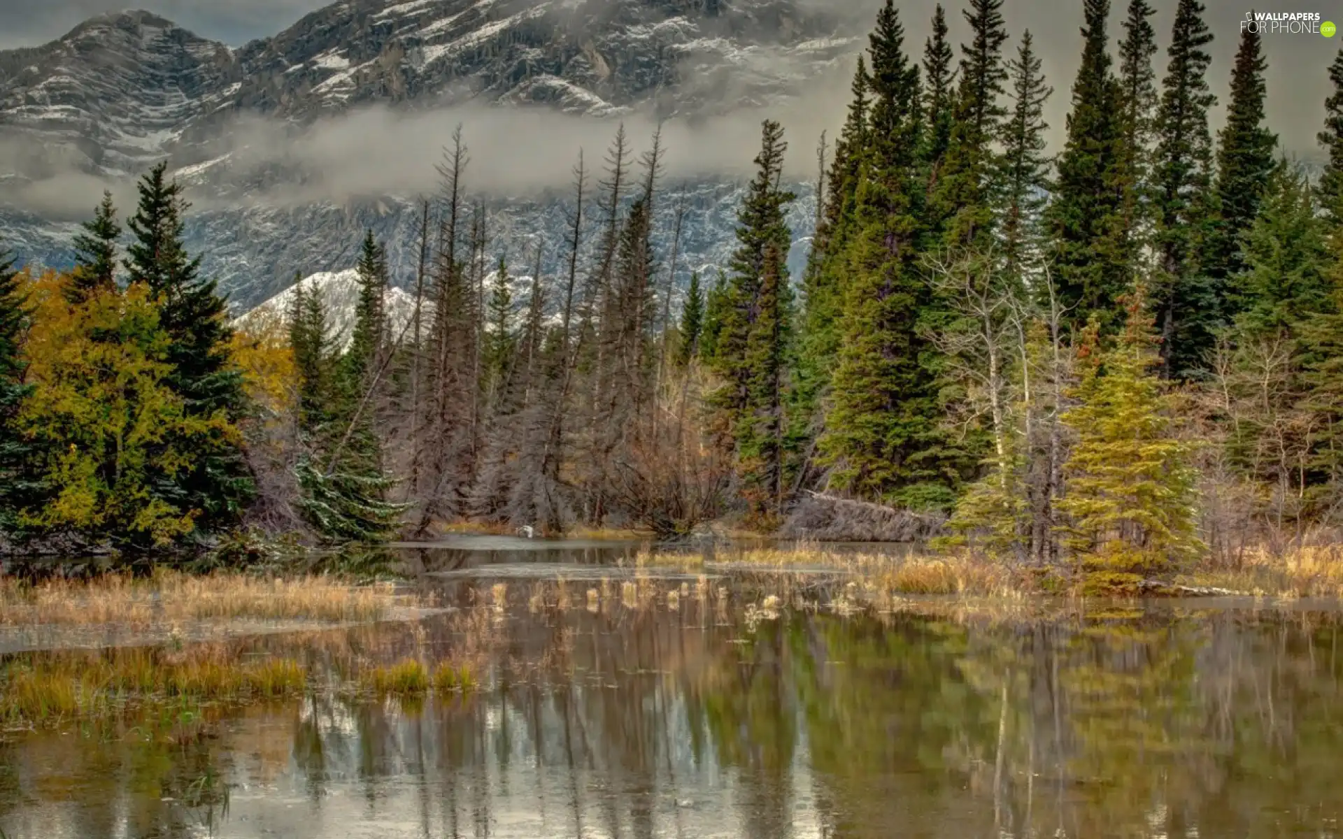 Mountains, trees, viewes, lake