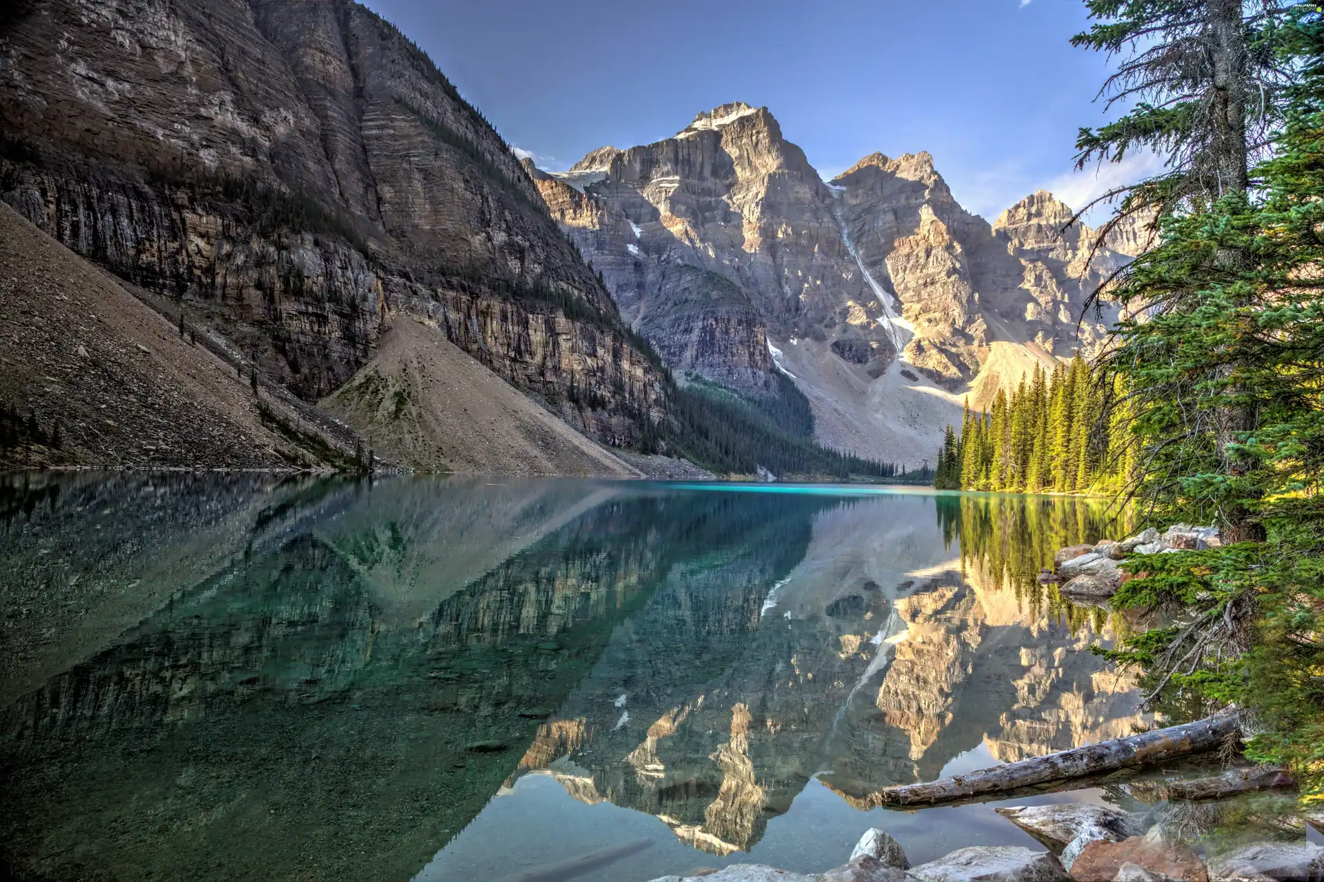 Mountains, trees, viewes, lake