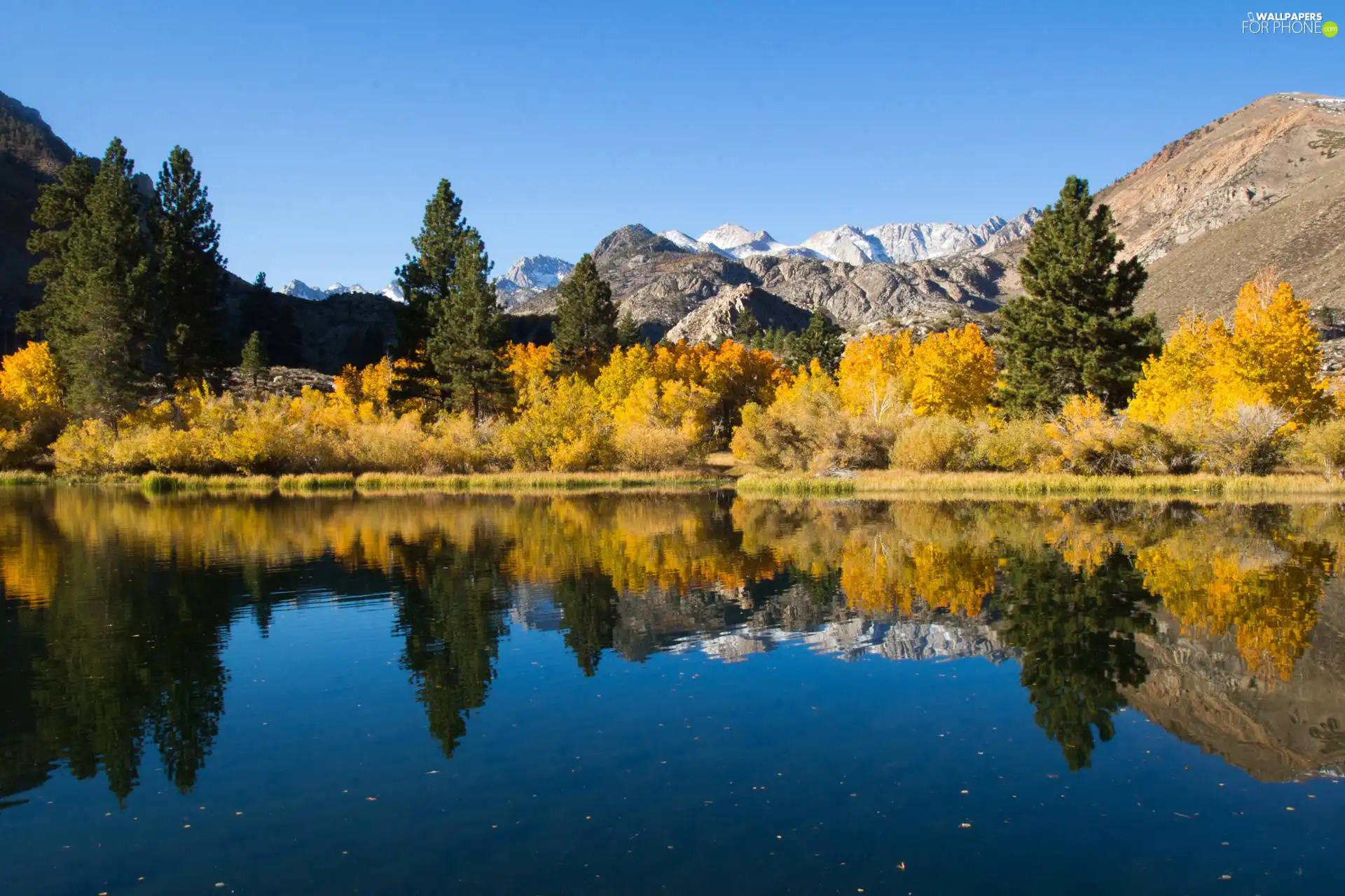 Mountains, trees, viewes, lake