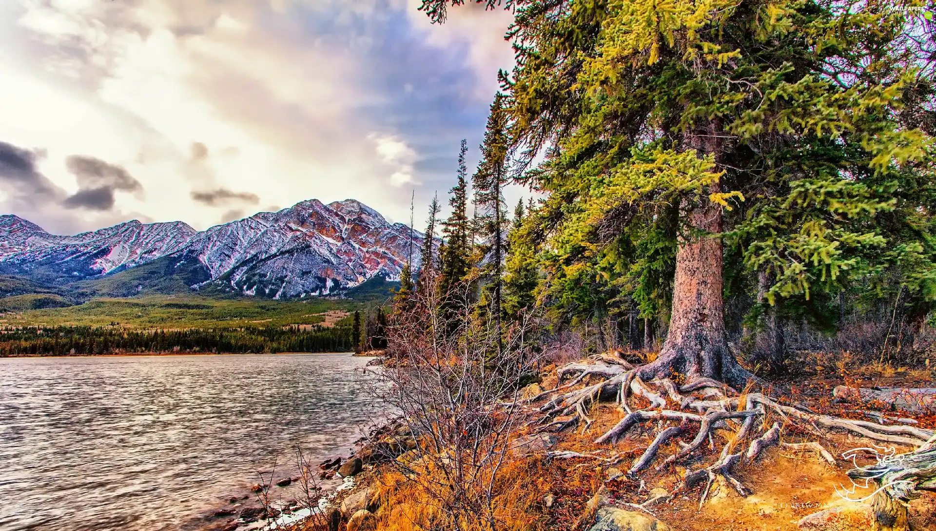 Mountains, trees, viewes, lake