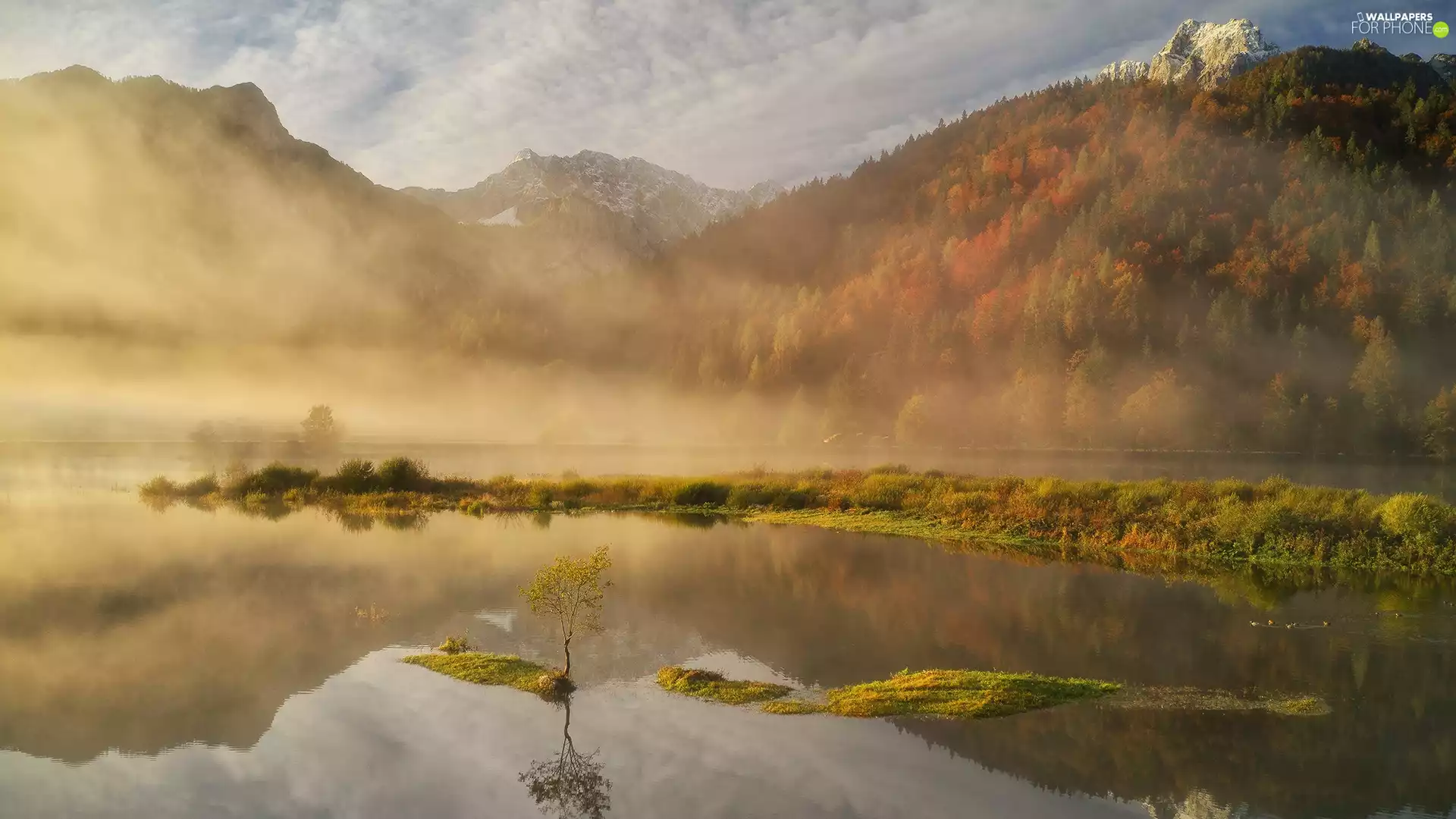 lake, autumn, trees, viewes, Fog, Mountains