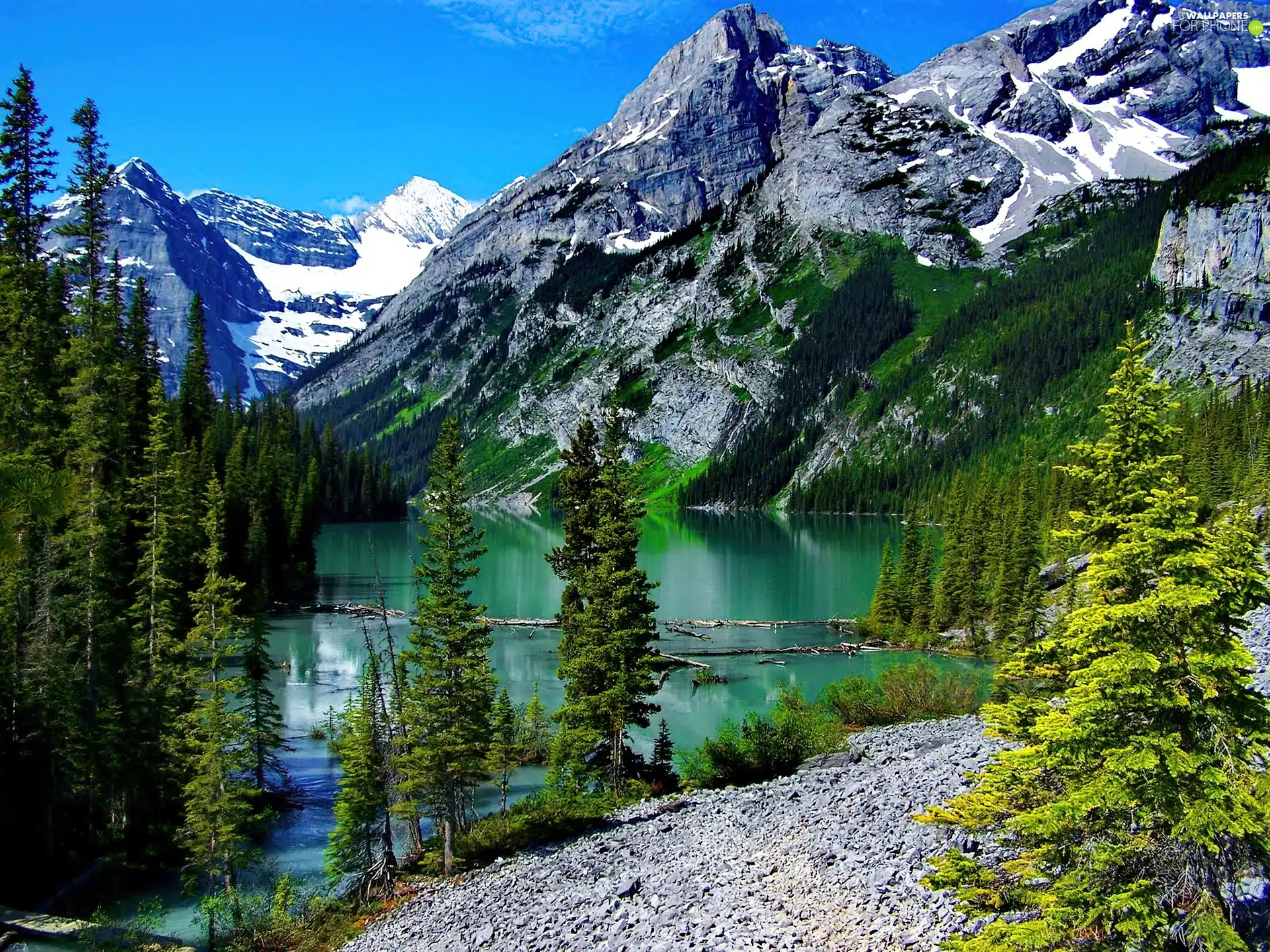 Mountains, trees, viewes, lake