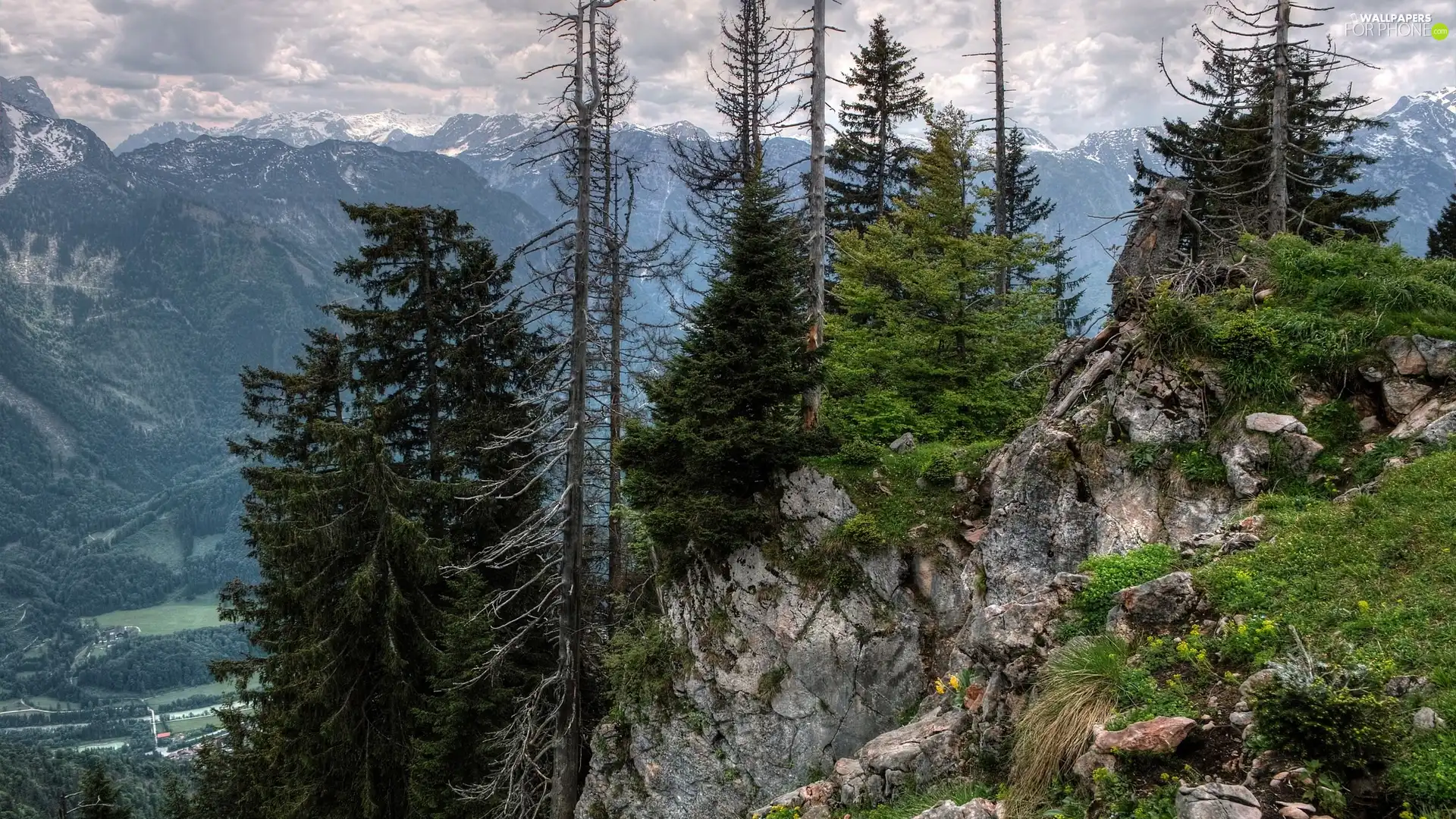 Mountains, trees, viewes, rocks