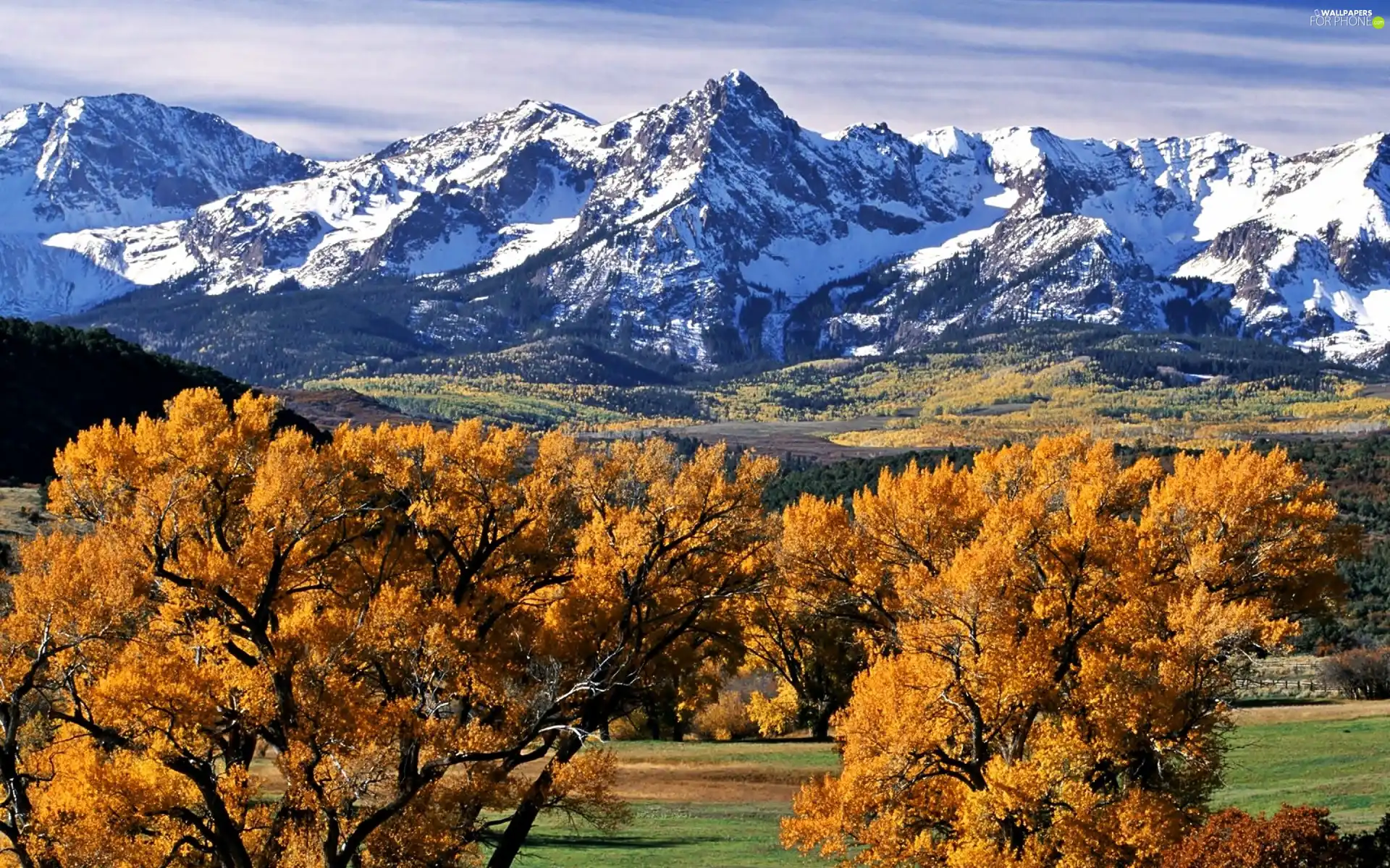 Mountains, trees, viewes, snow