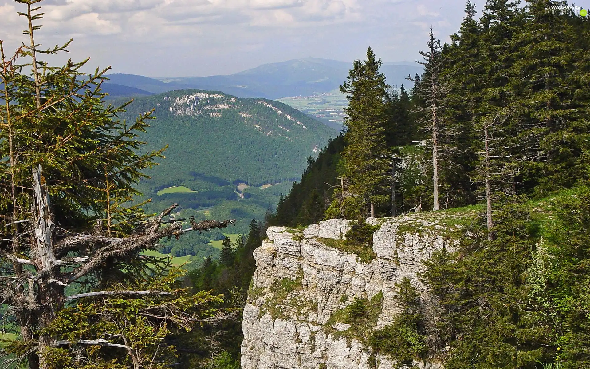 Mountains, trees, viewes, woods