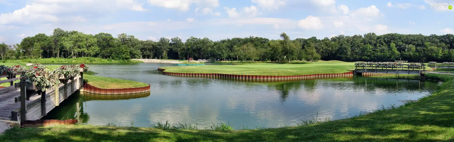 viewes, Park, Bridges, trees, lake