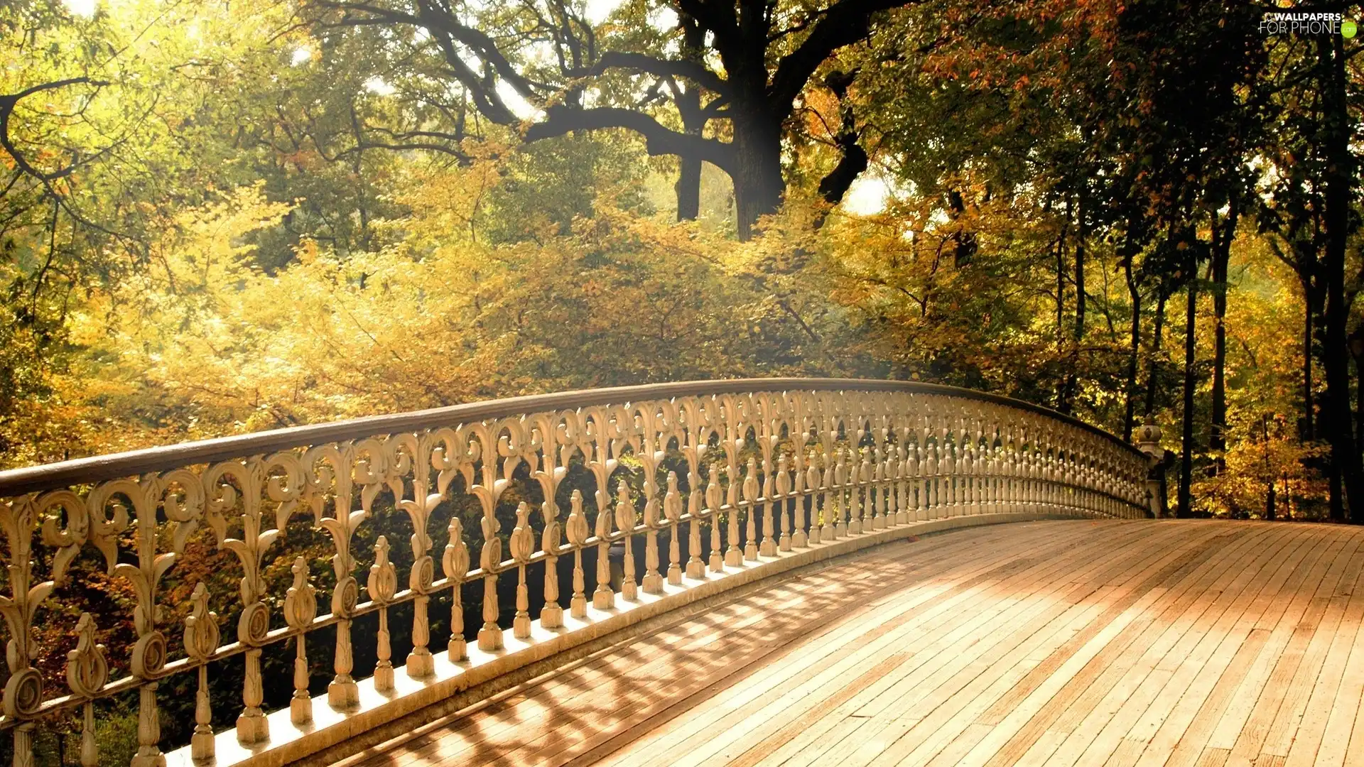 Park, trees, viewes, bridge