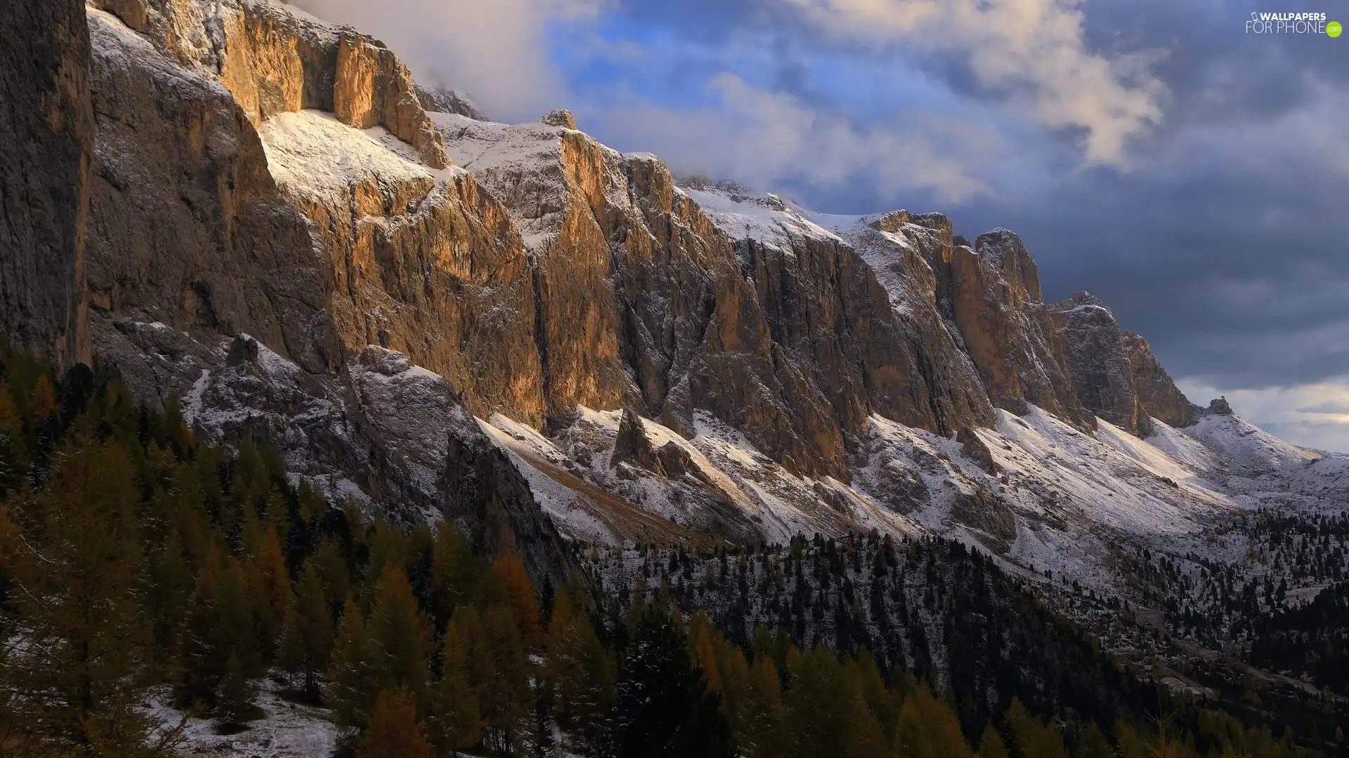 trees, viewes, peaks, snow, Mountains