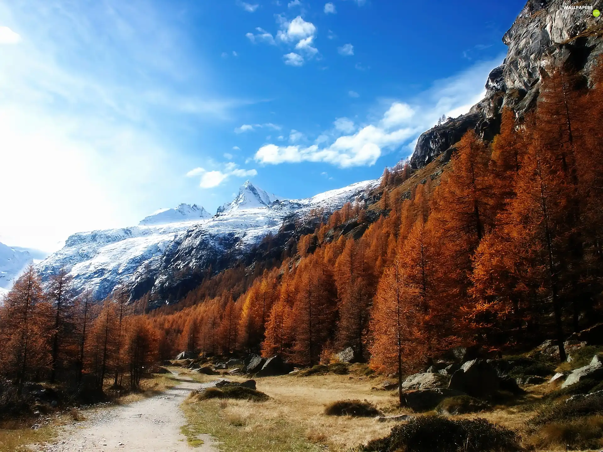 peaks, trees, viewes, mountain