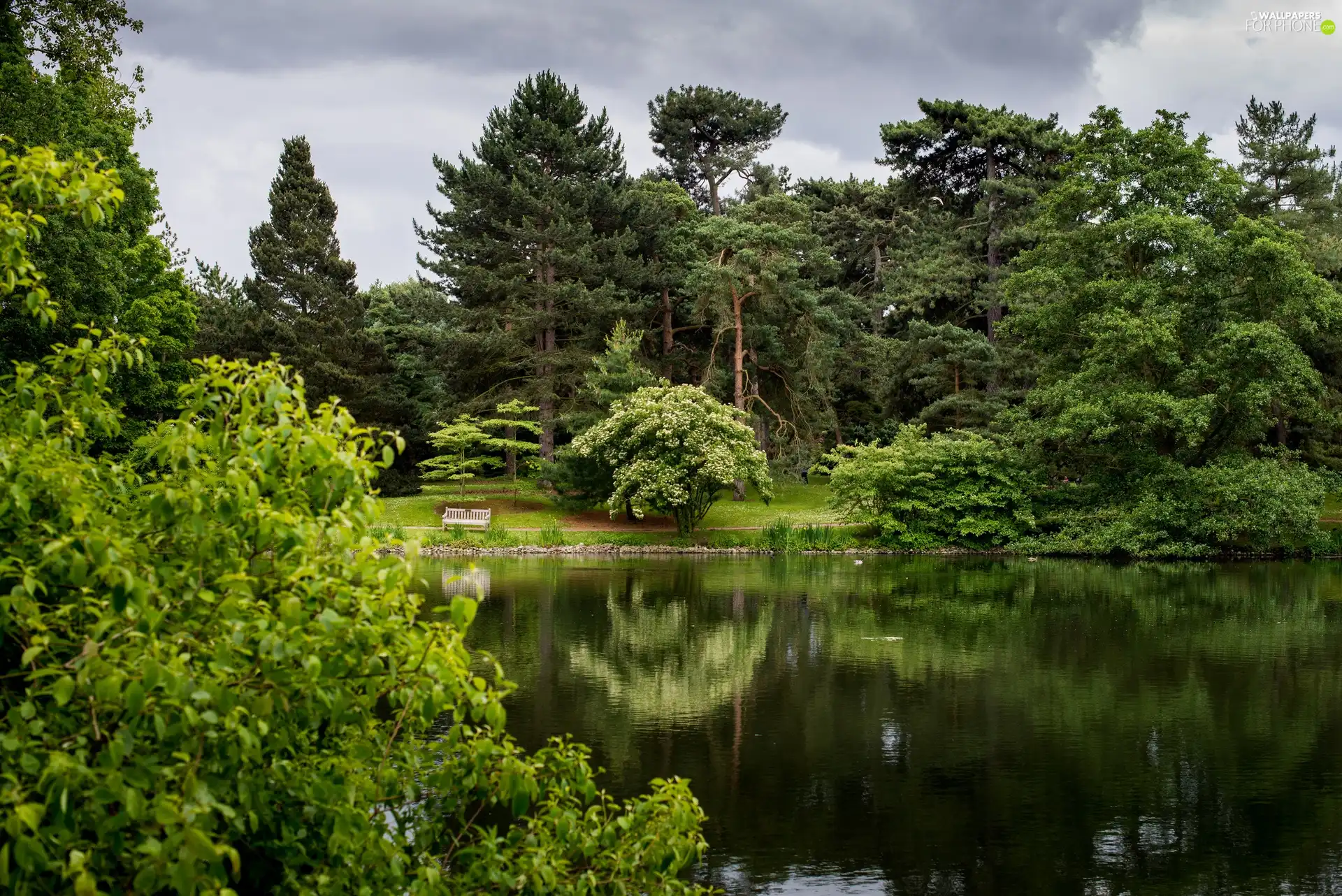 Park, trees, viewes, Pond - car