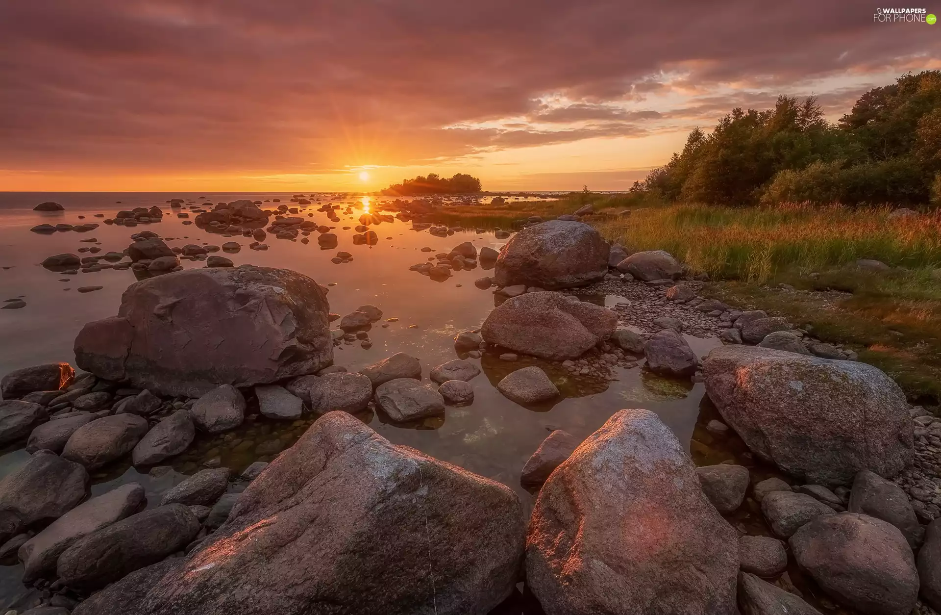 trees, Stones, Great Sunsets, coast, sea, viewes, rays of the Sun
