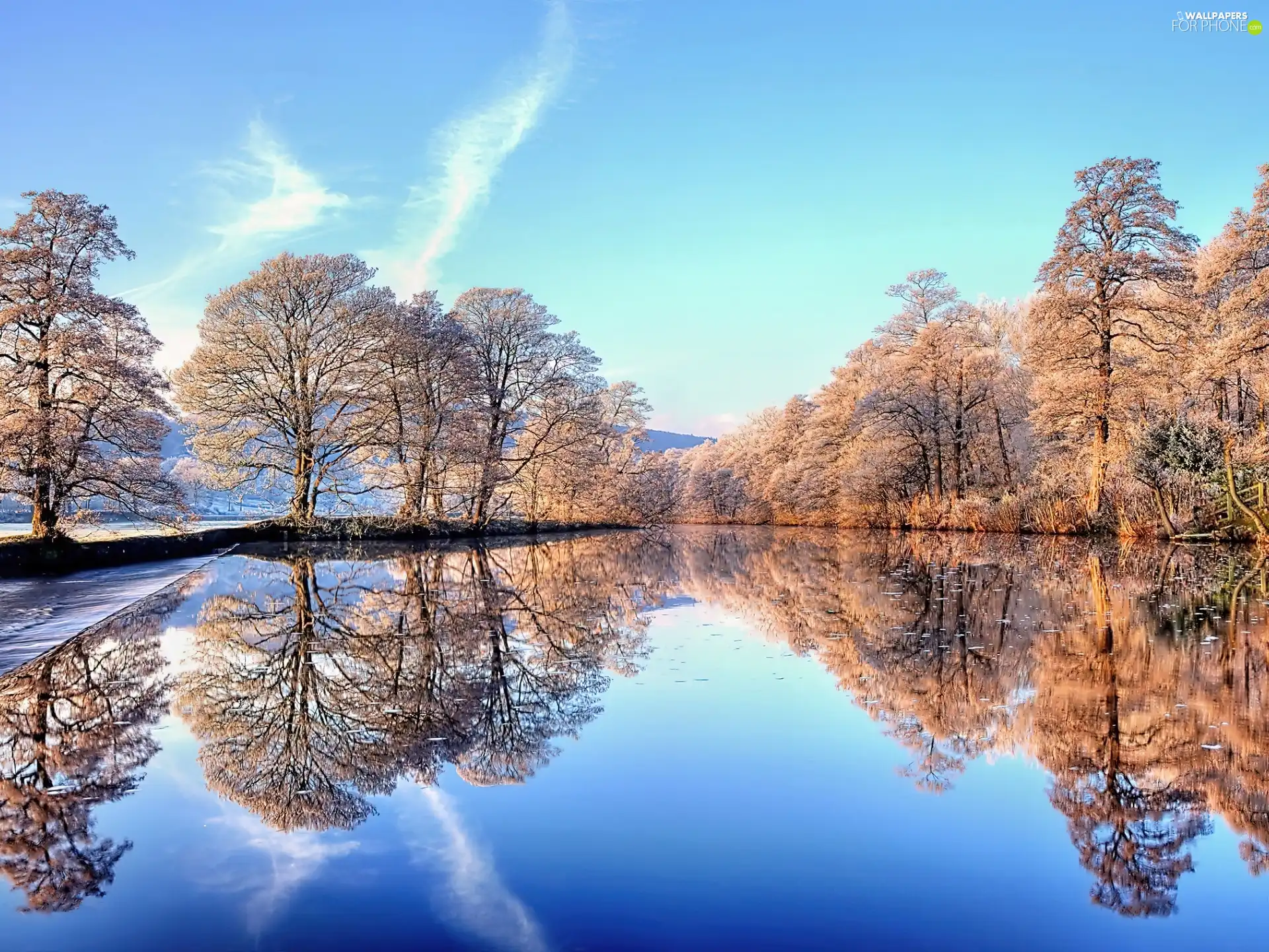 viewes, reflection, lake, trees, winter