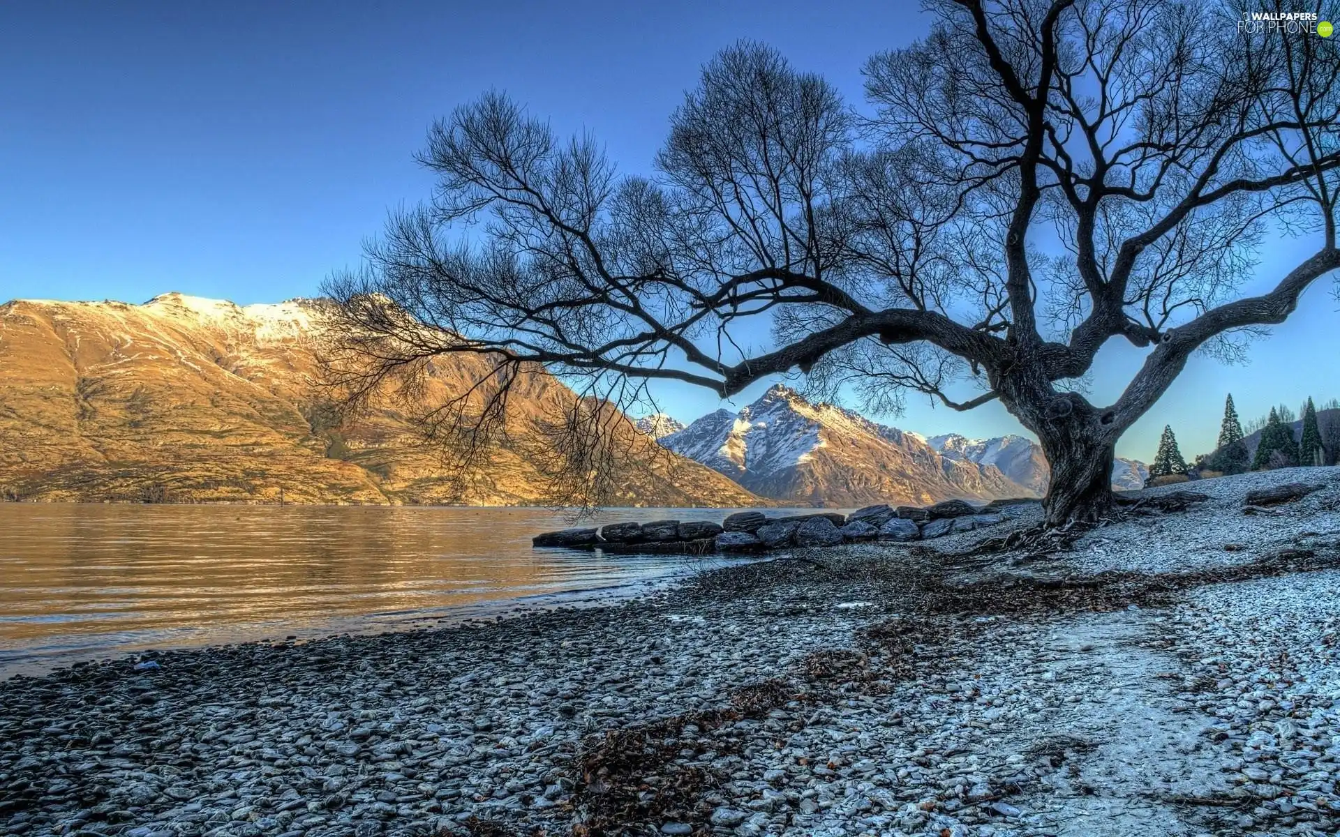 River, trees, viewes, Mountains