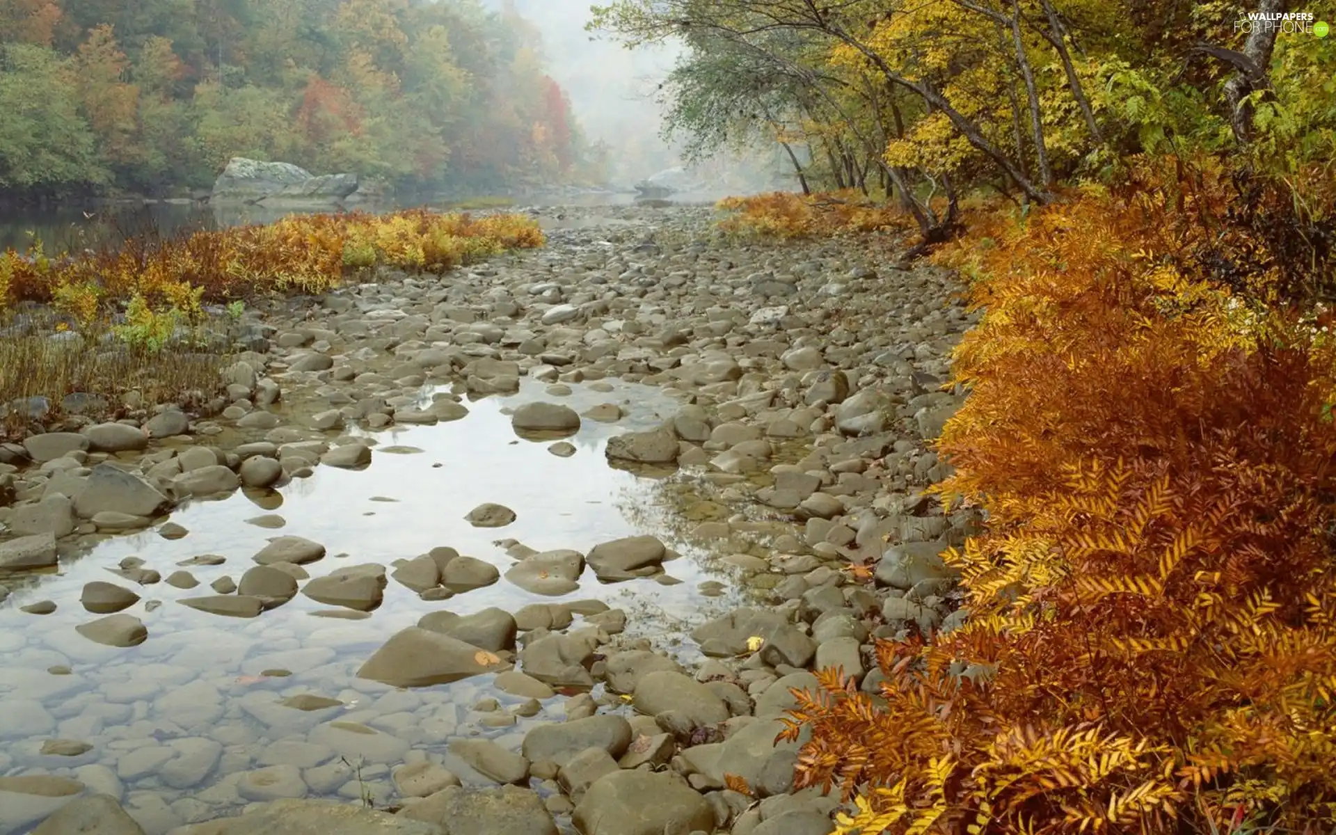 River, trees, viewes, Stones