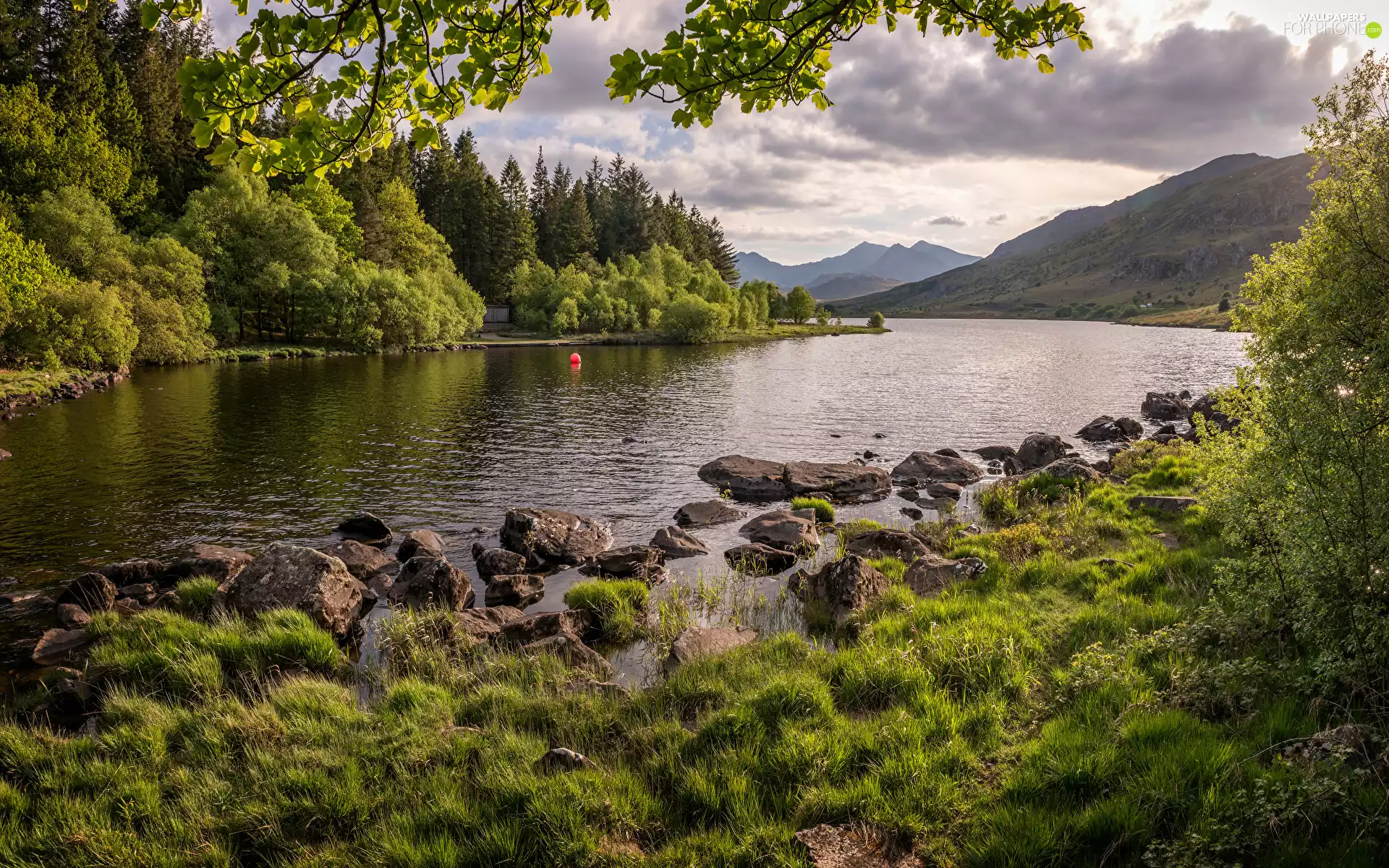 Stones, Mountains, trees, viewes, grass, River