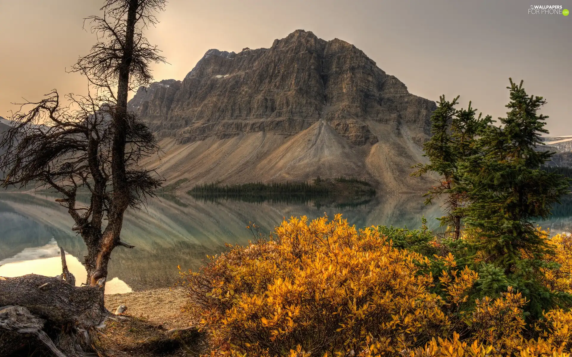 rocks, trees, viewes, lake